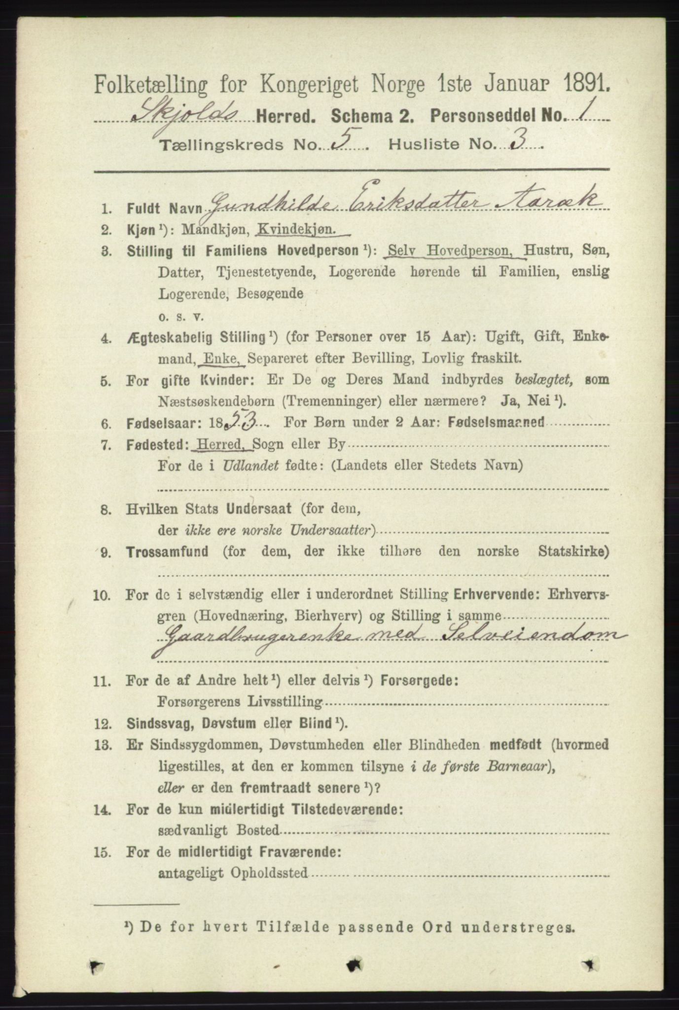 RA, 1891 census for 1154 Skjold, 1891, p. 777