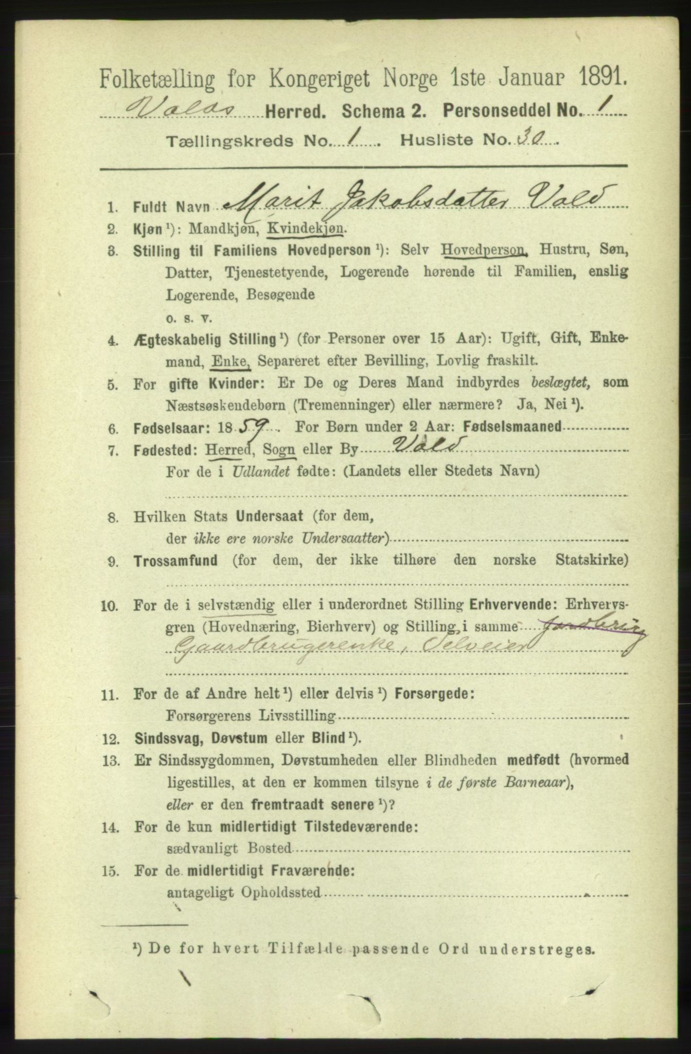 RA, 1891 census for 1537 Voll, 1891, p. 262