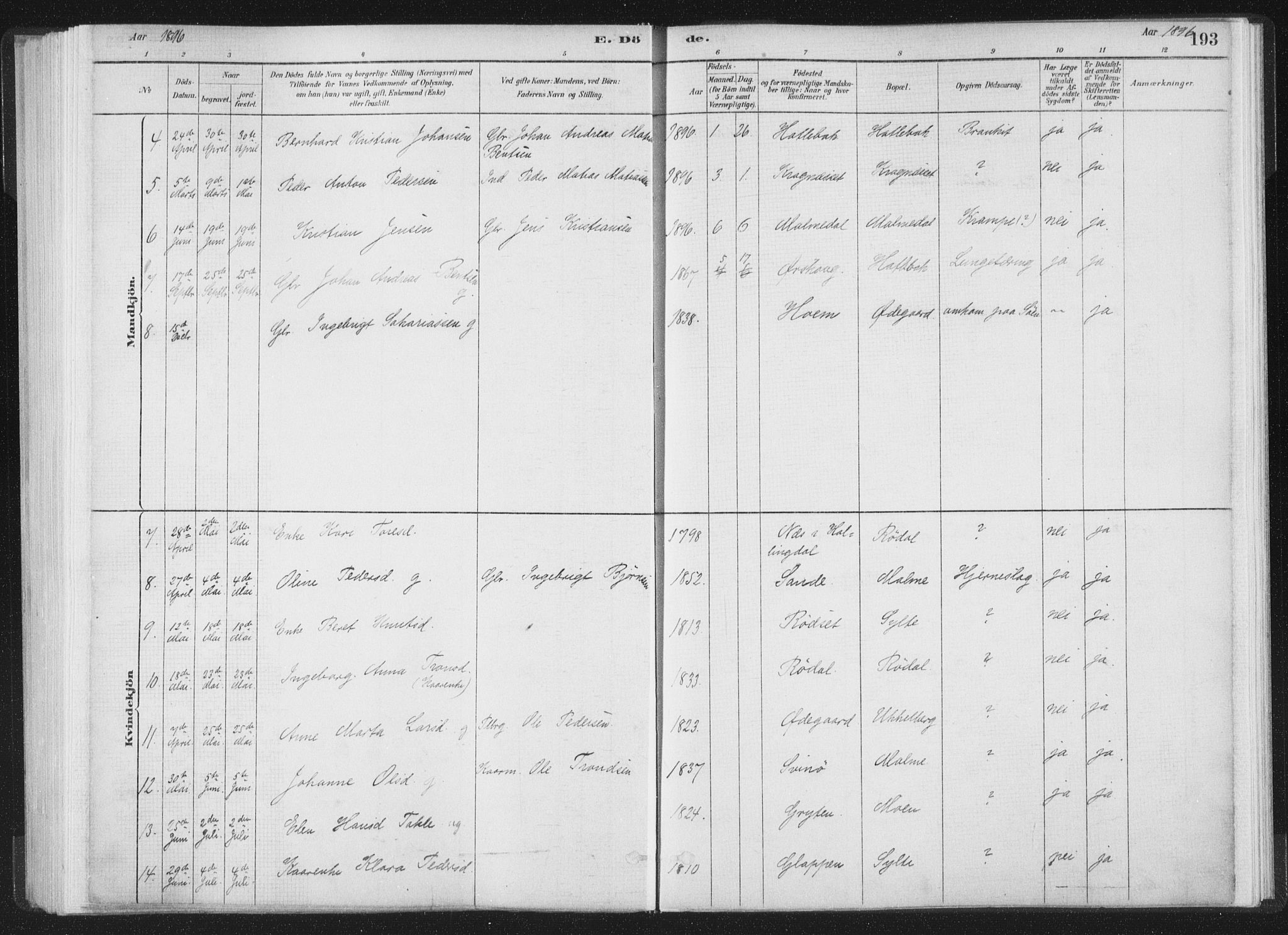 Ministerialprotokoller, klokkerbøker og fødselsregistre - Møre og Romsdal, AV/SAT-A-1454/564/L0740: Parish register (official) no. 564A01, 1880-1899, p. 193