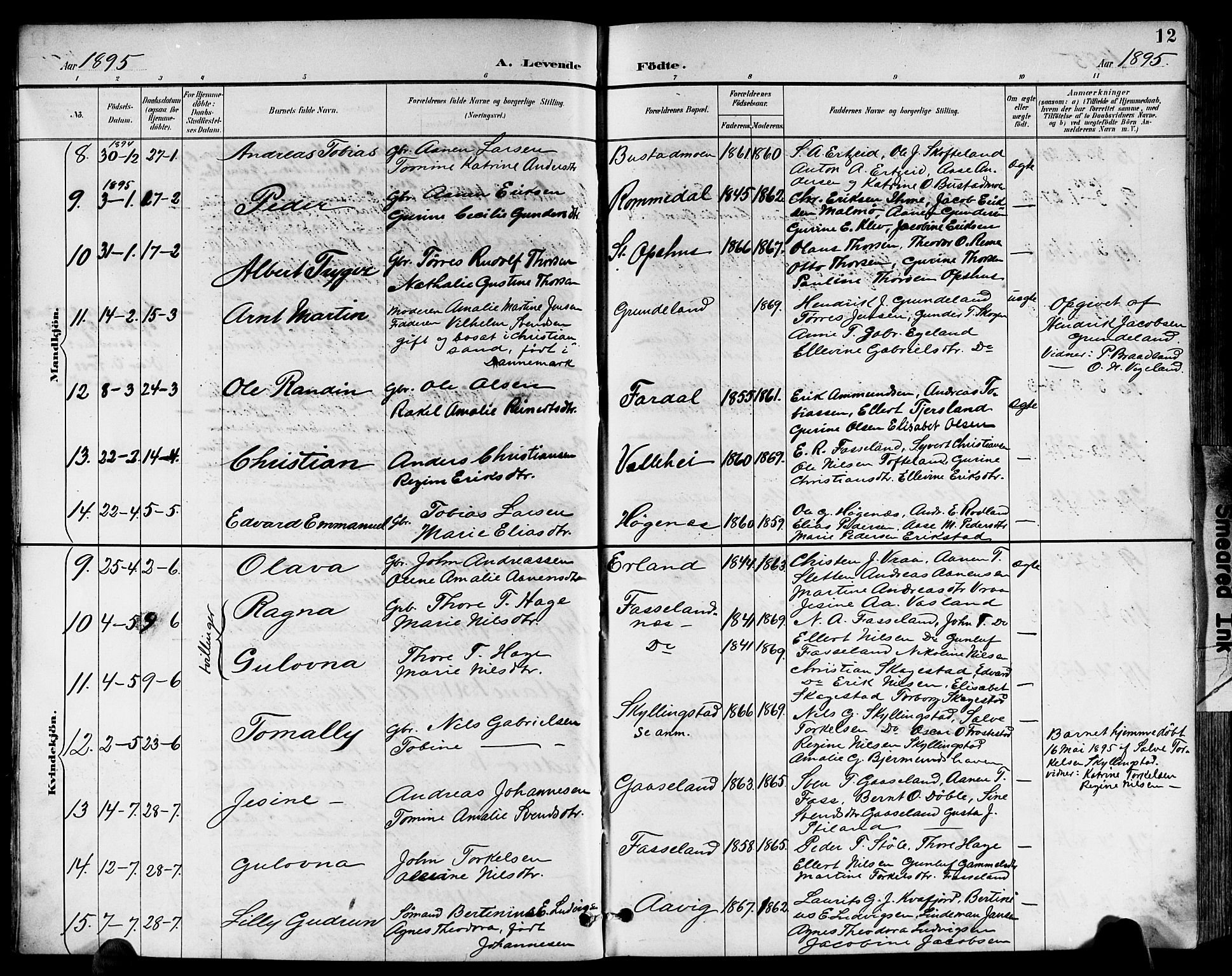 Sør-Audnedal sokneprestkontor, AV/SAK-1111-0039/F/Fb/Fbb/L0006: Parish register (copy) no. B 6, 1893-1915, p. 12