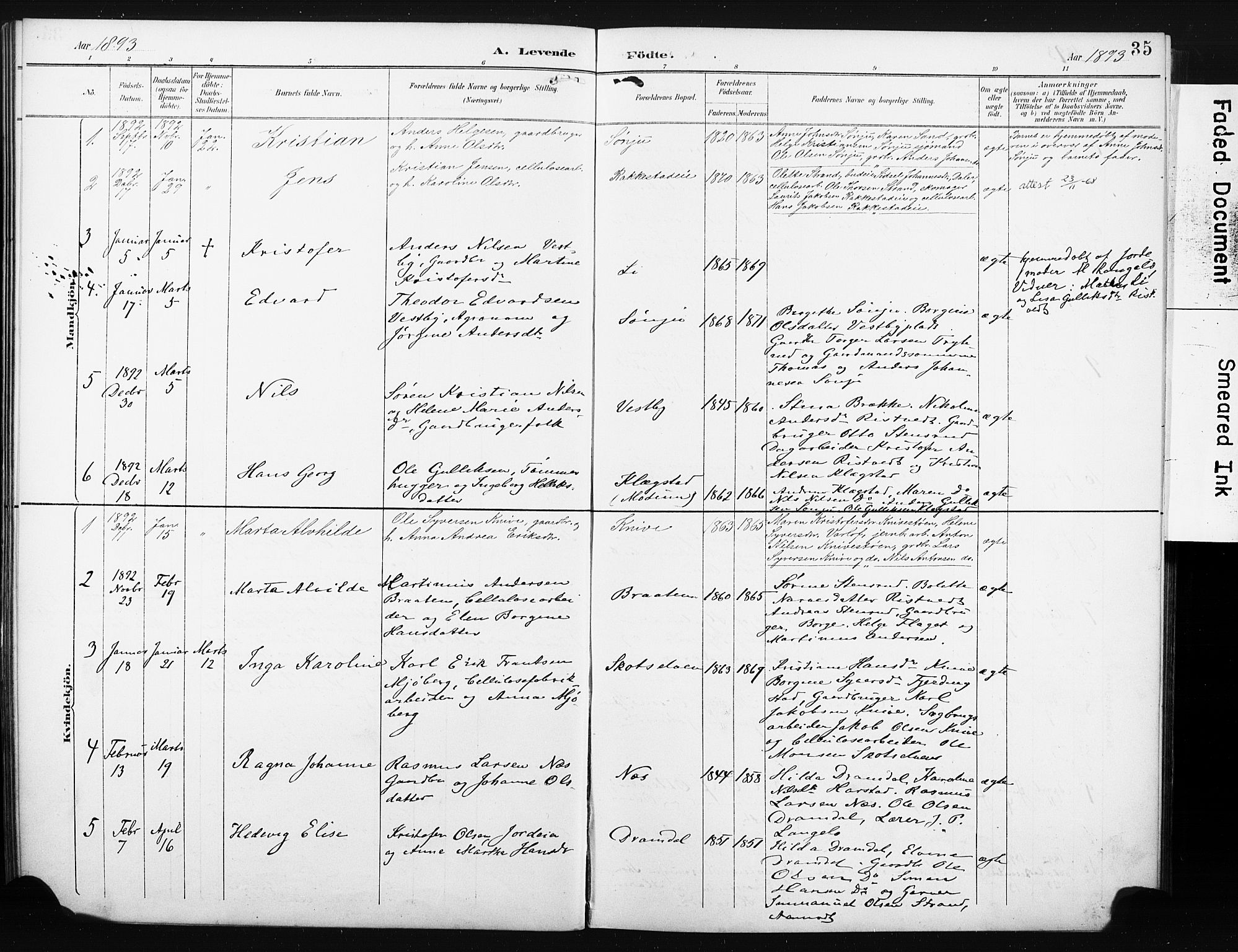 Eiker kirkebøker, AV/SAKO-A-4/F/Fc/L0002: Parish register (official) no. III 2, 1889-1897, p. 35