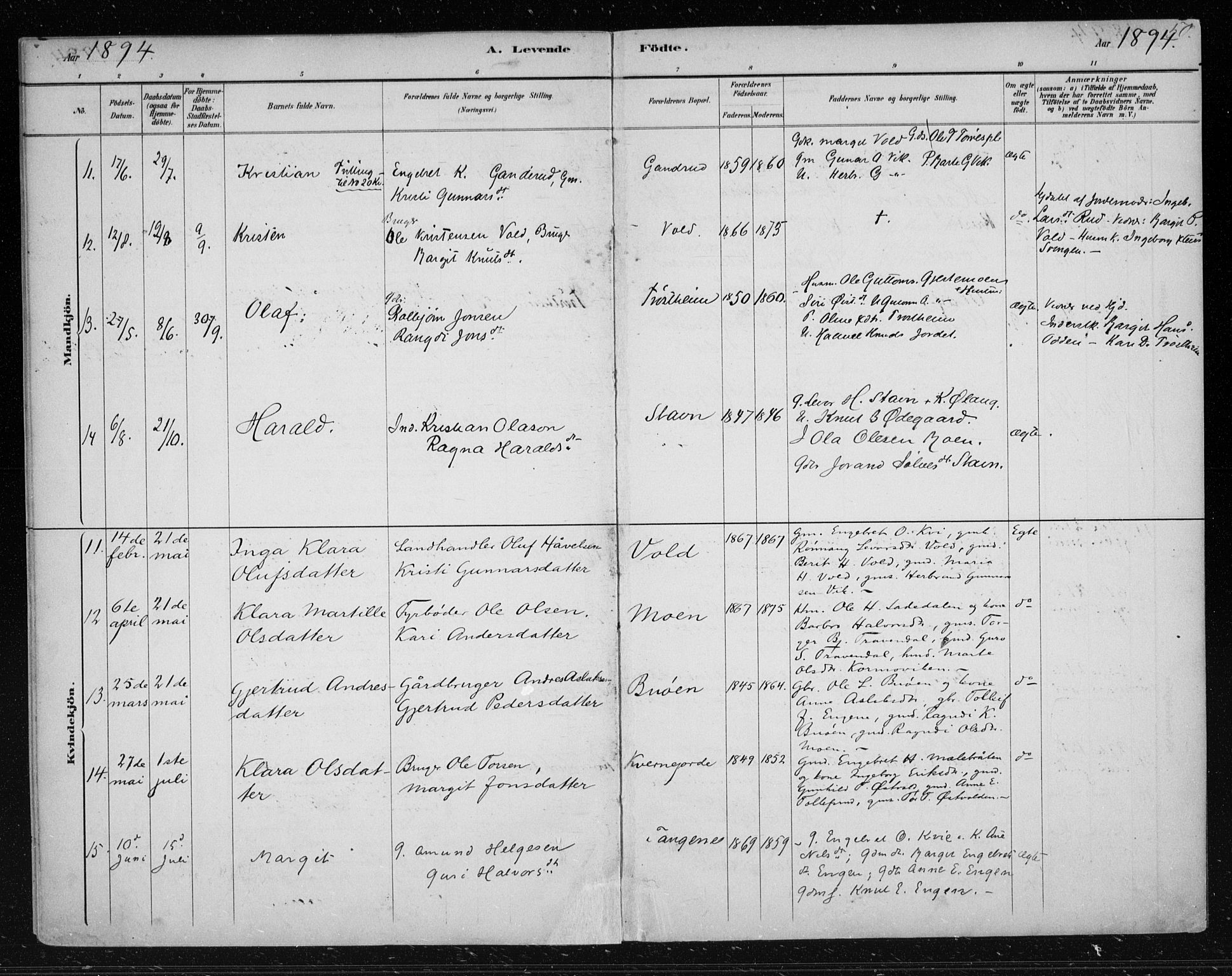 Nes kirkebøker, AV/SAKO-A-236/F/Fa/L0012: Parish register (official) no. 12, 1881-1917, p. 50