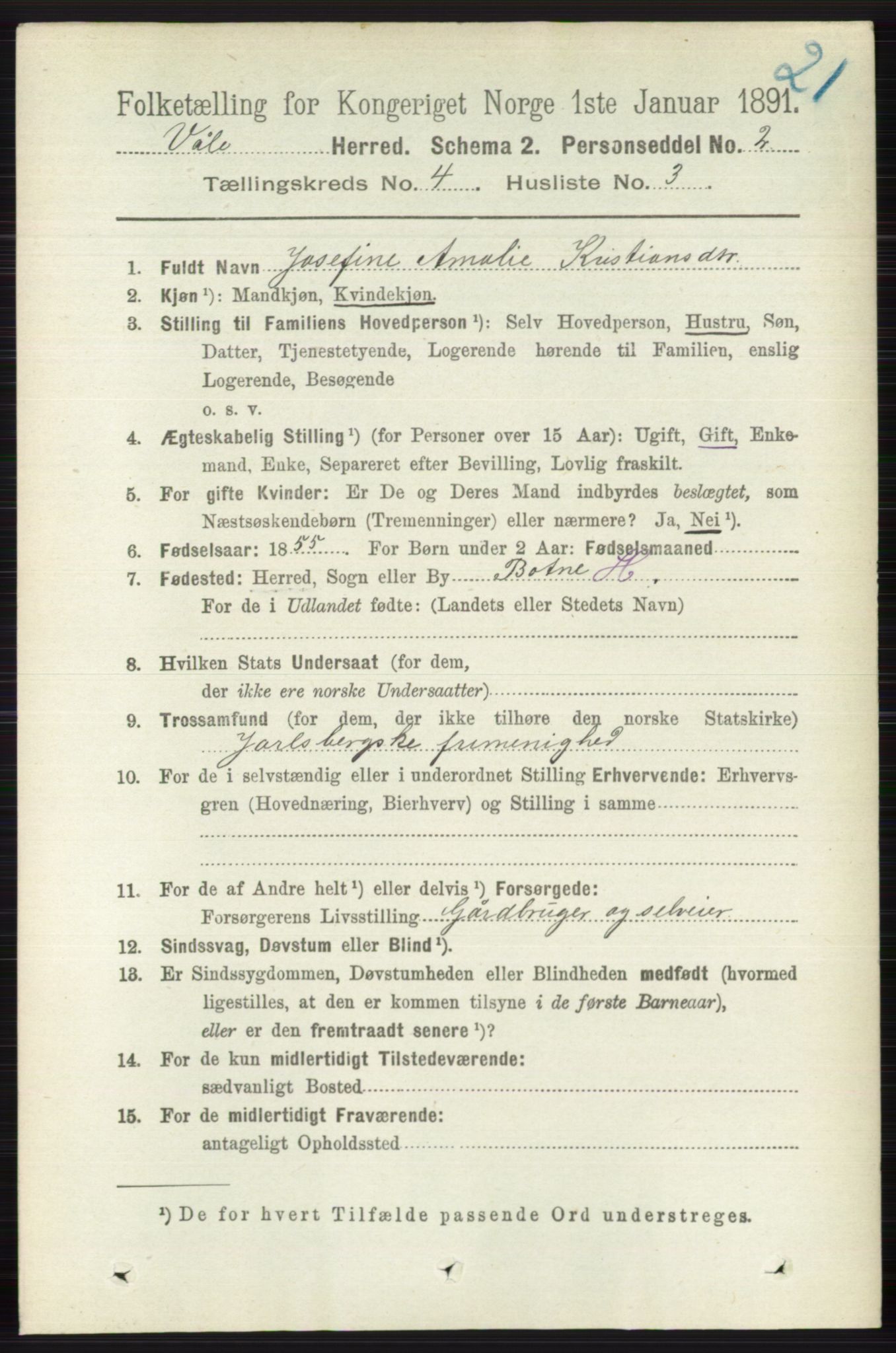 RA, 1891 census for 0716 Våle, 1891, p. 999