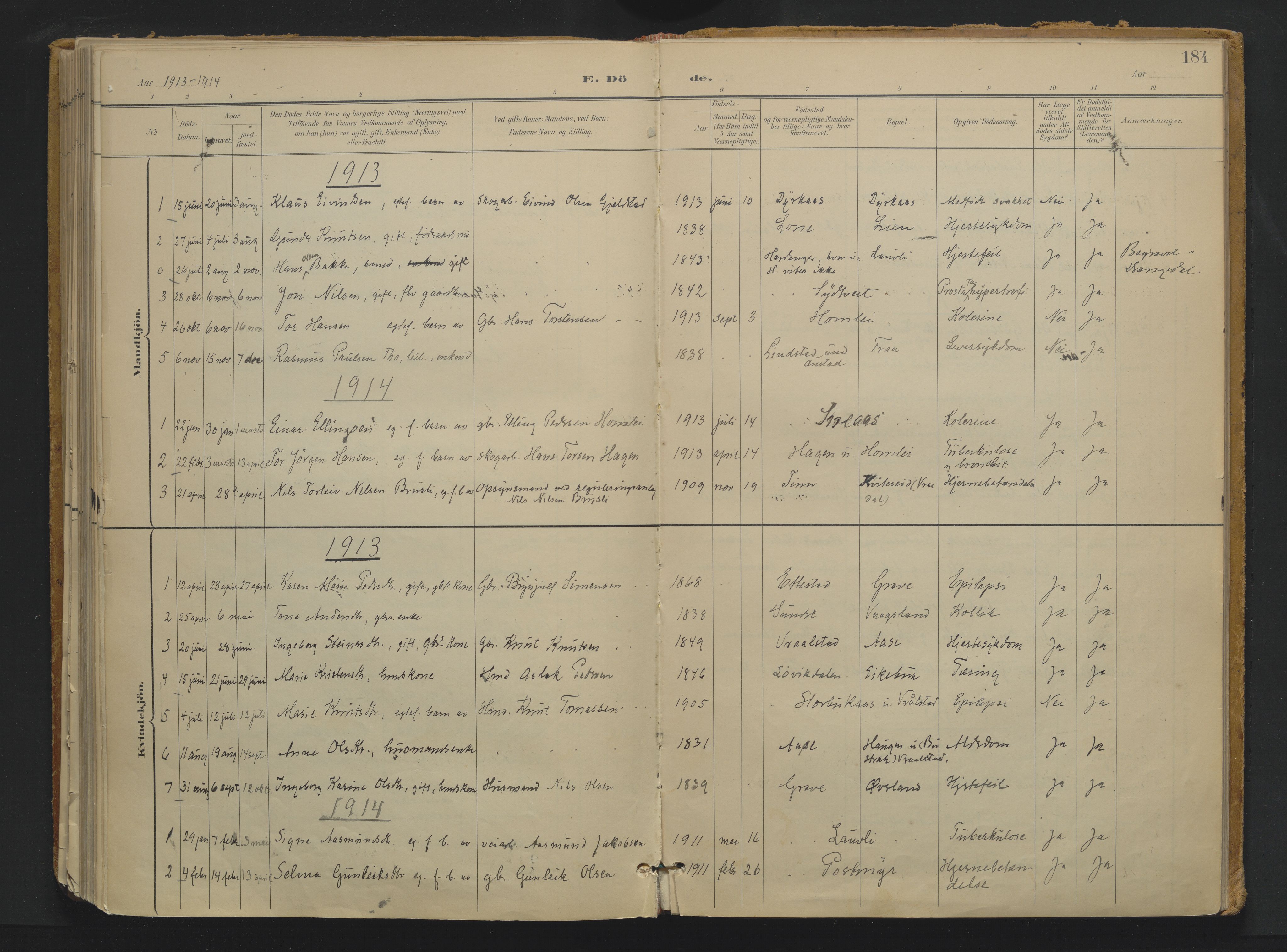 Drangedal kirkebøker, SAKO/A-258/F/Fa/L0013: Parish register (official) no. 13, 1895-1919, p. 184