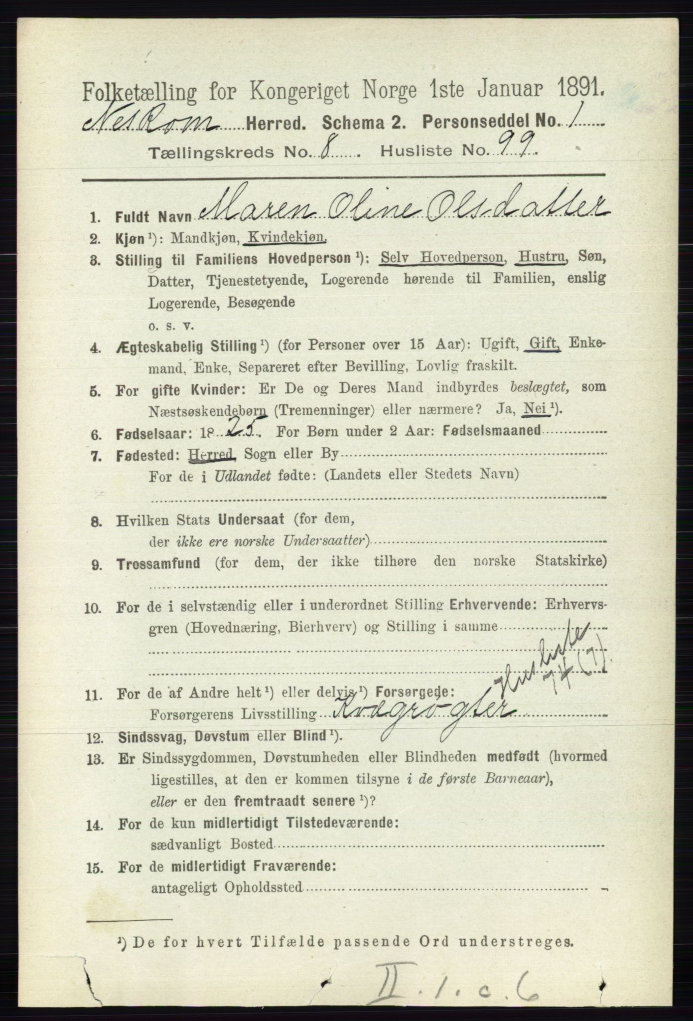 RA, 1891 census for 0236 Nes, 1891, p. 5182