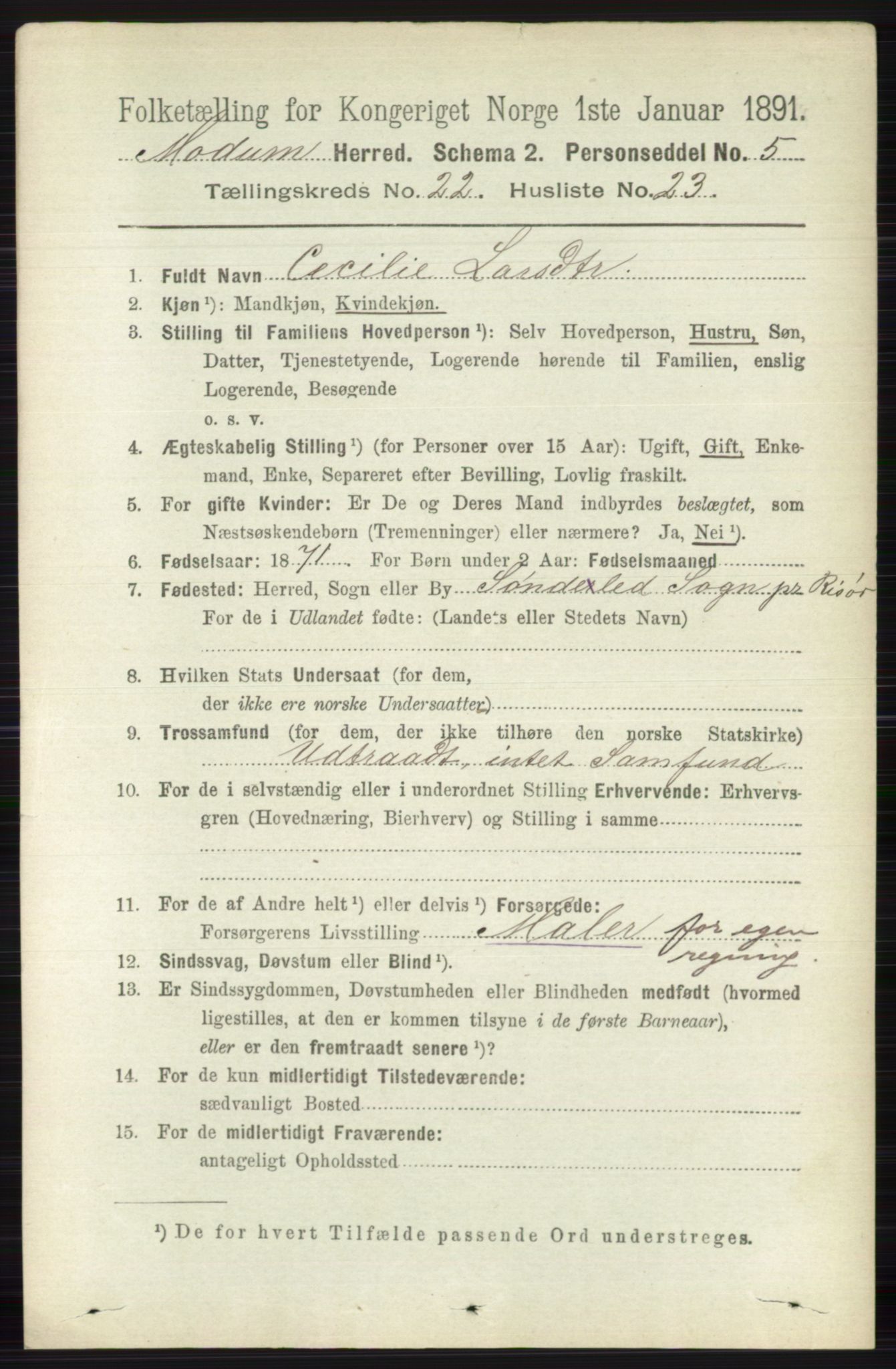 RA, 1891 census for 0623 Modum, 1891, p. 8515