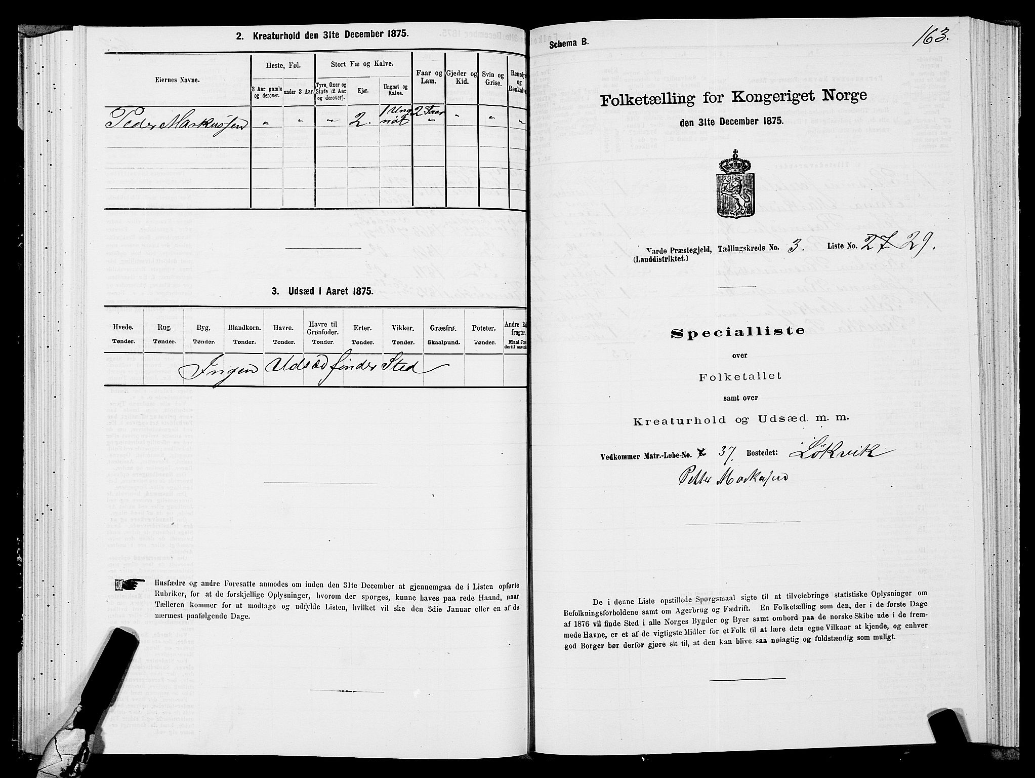 SATØ, 1875 census for 2028L Vardø/Vardø, 1875, p. 1163