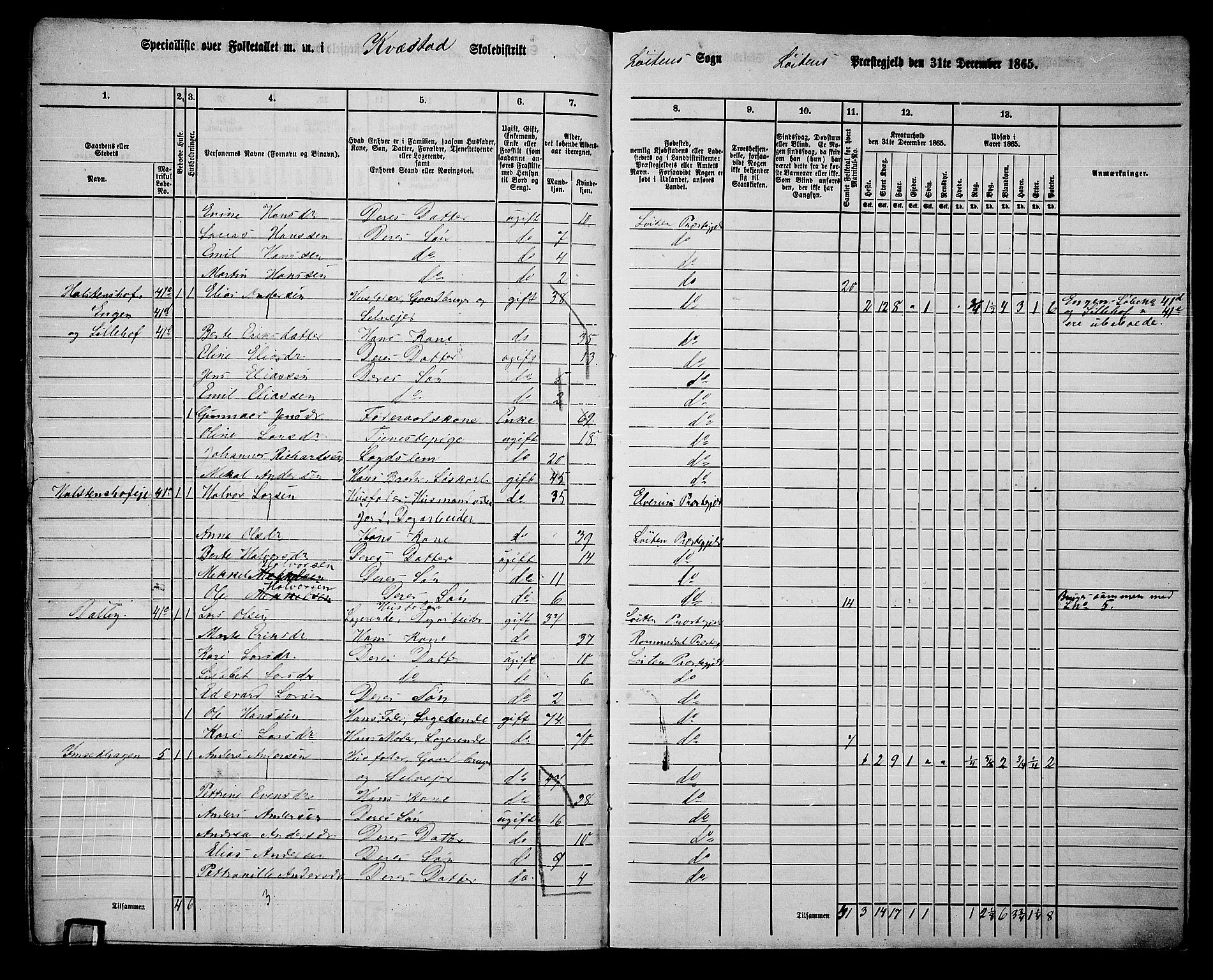 RA, 1865 census for Løten, 1865, p. 186