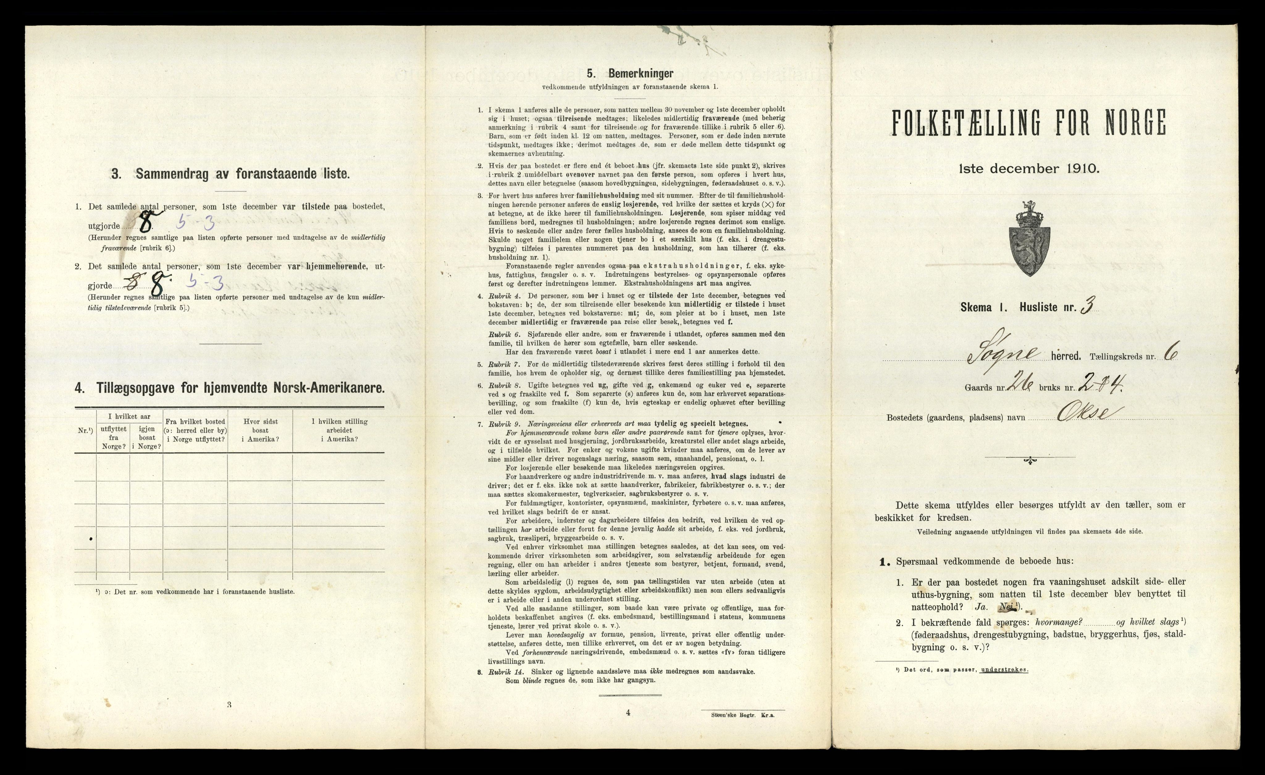 RA, 1910 census for Søgne, 1910, p. 494