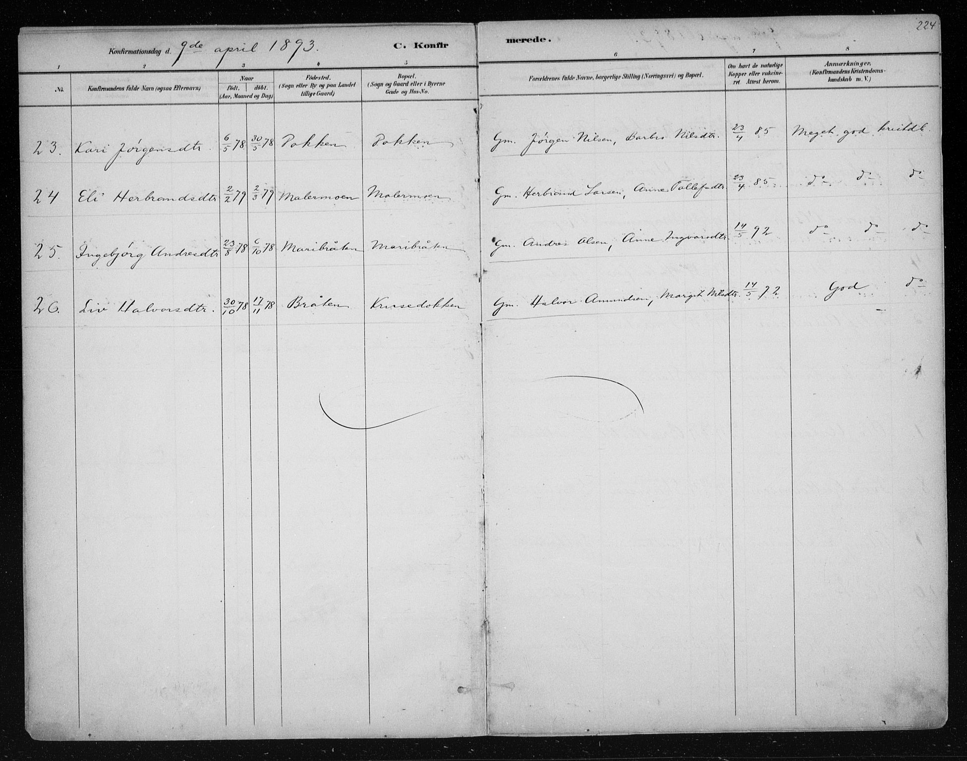 Nes kirkebøker, AV/SAKO-A-236/F/Fa/L0011: Parish register (official) no. 11, 1881-1912, p. 224