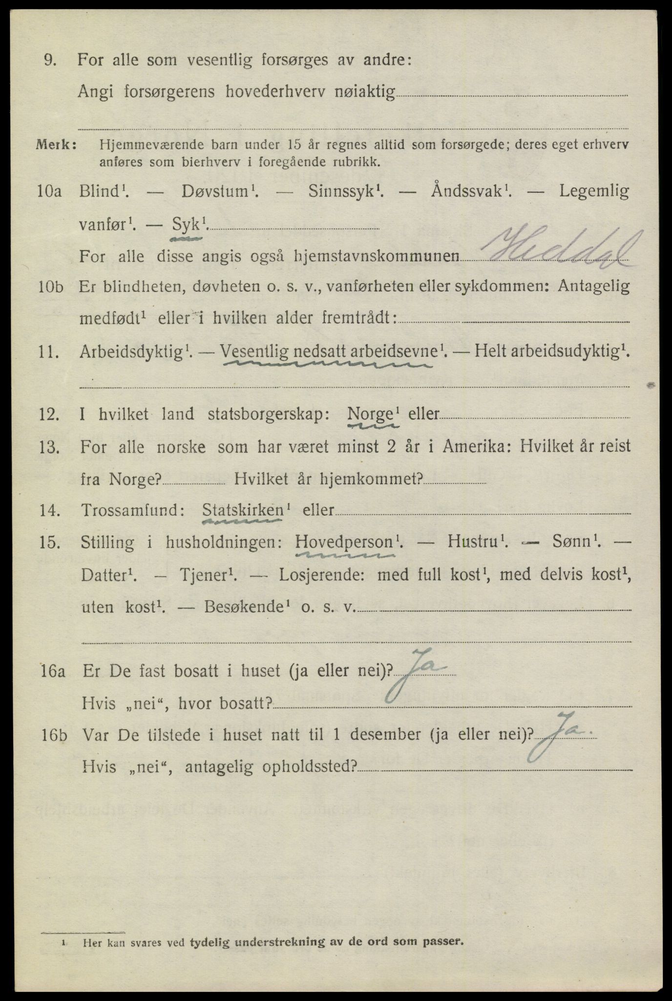 SAKO, 1920 census for Heddal, 1920, p. 4567