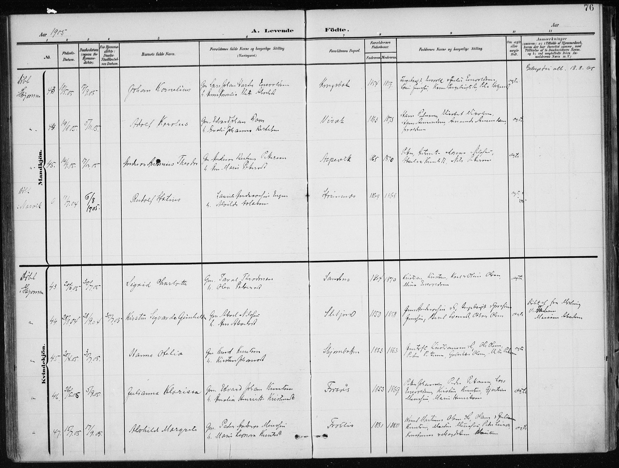 Ministerialprotokoller, klokkerbøker og fødselsregistre - Nordland, SAT/A-1459/866/L0941: Parish register (official) no. 866A04, 1901-1917, p. 76