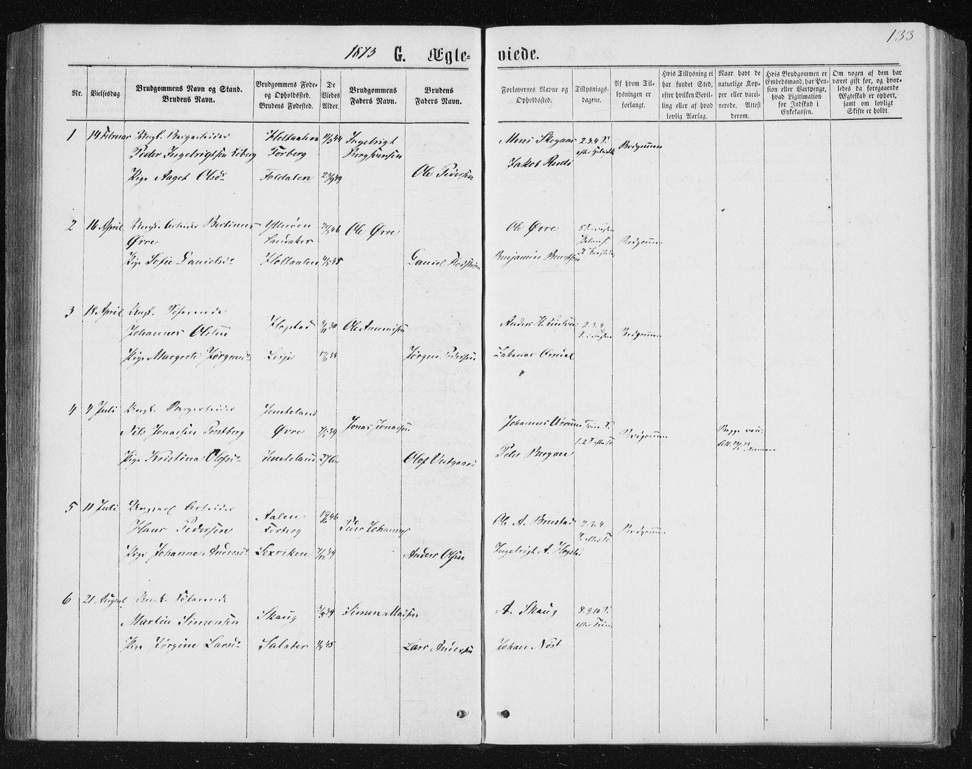 Ministerialprotokoller, klokkerbøker og fødselsregistre - Nord-Trøndelag, SAT/A-1458/722/L0219: Parish register (official) no. 722A06, 1868-1880, p. 133