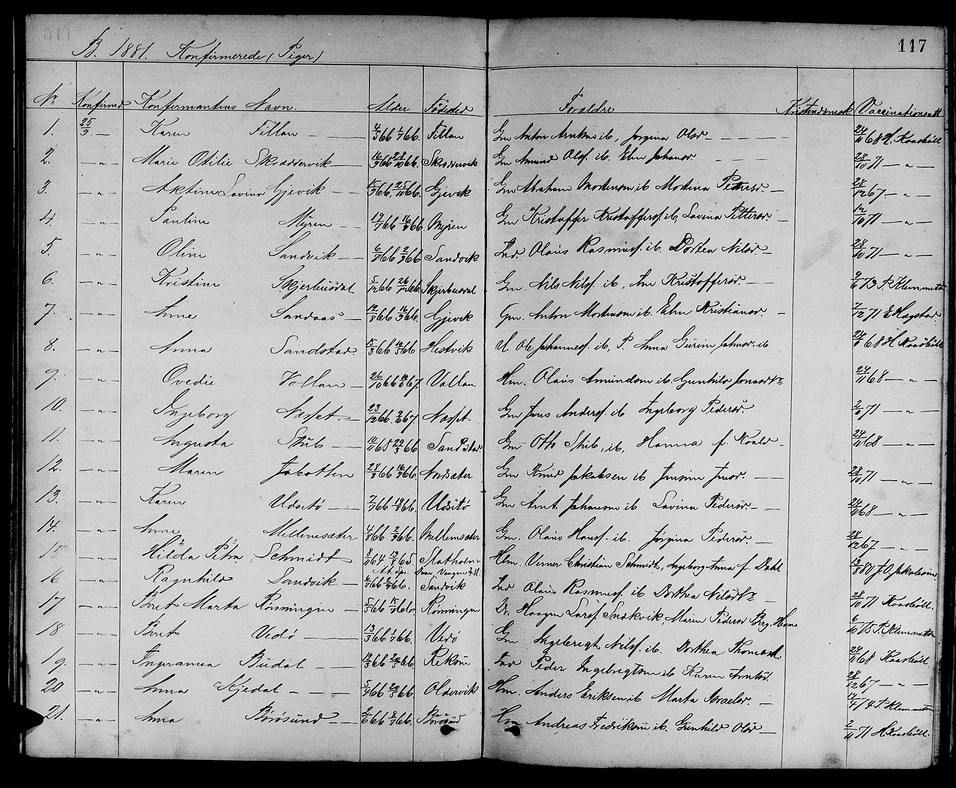 Ministerialprotokoller, klokkerbøker og fødselsregistre - Sør-Trøndelag, SAT/A-1456/637/L0561: Parish register (copy) no. 637C02, 1873-1882, p. 117