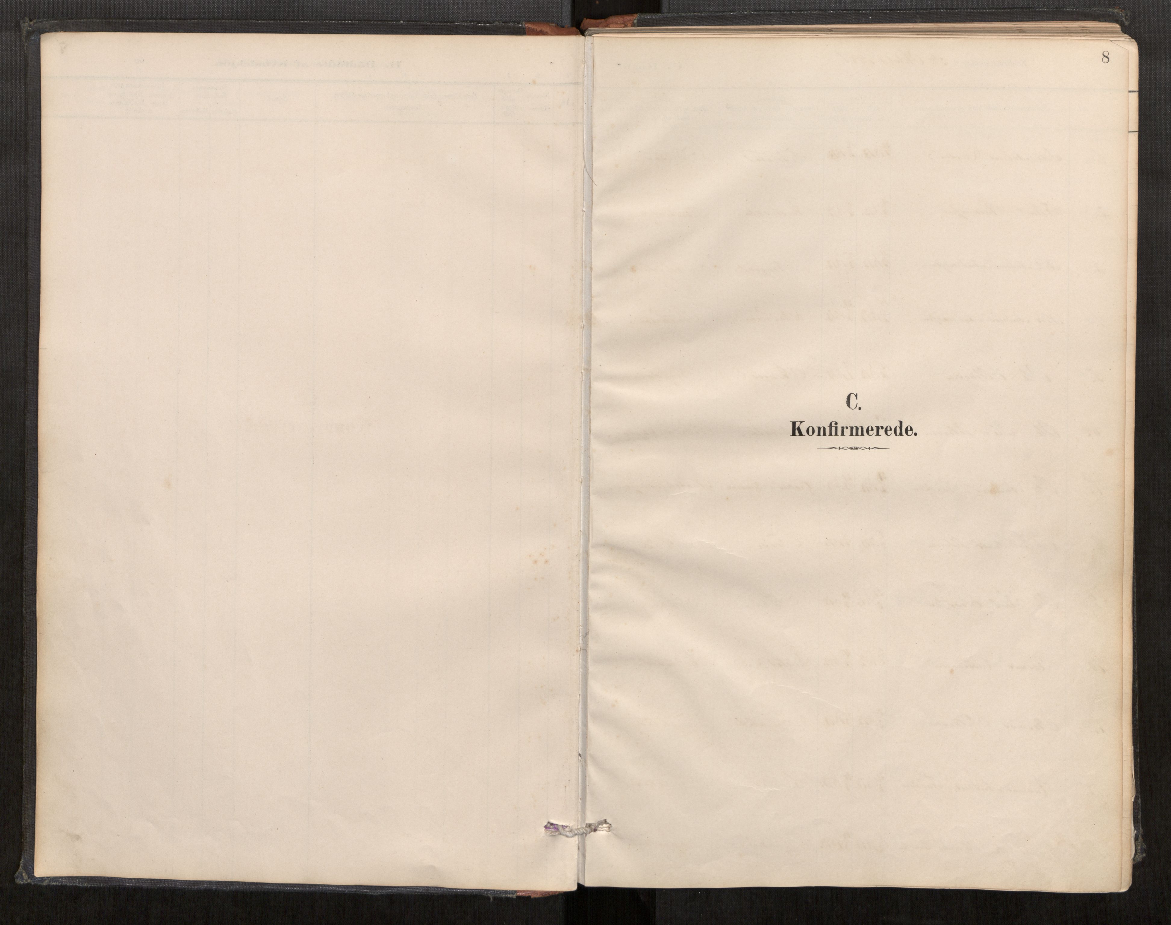 Sunnylven sokneprestkontor, SAT/A-1007: Parish register (official) no. 517A09, 1887-1910, p. 8