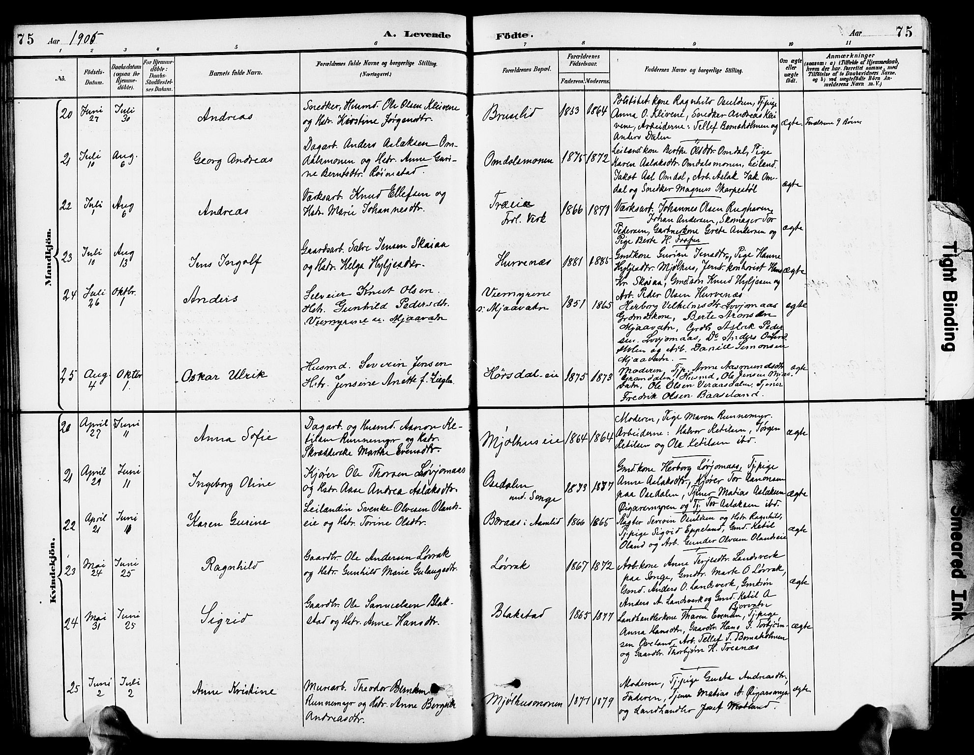 Froland sokneprestkontor, SAK/1111-0013/F/Fb/L0010: Parish register (copy) no. B 10, 1893-1920, p. 75