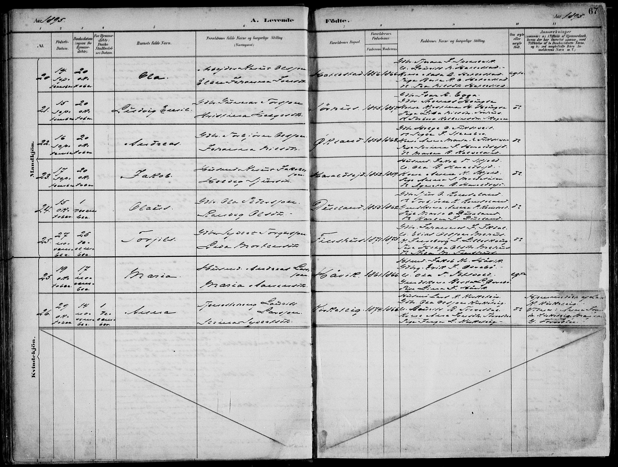 Skjold sokneprestkontor, AV/SAST-A-101847/H/Ha/Haa/L0010: Parish register (official) no. A 10, 1882-1897, p. 67