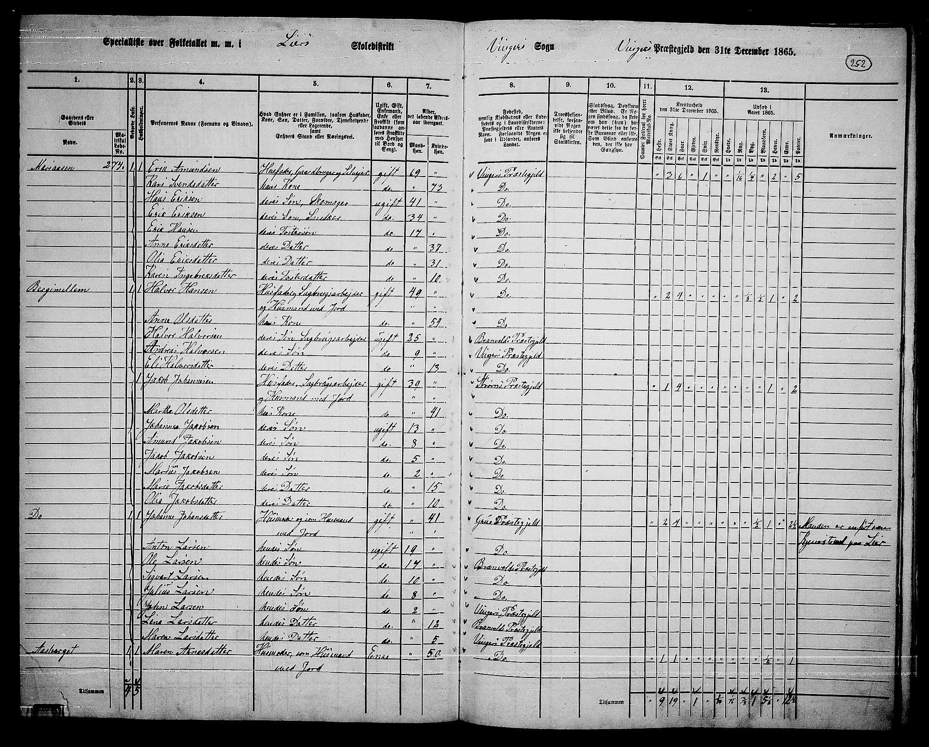 RA, 1865 census for Vinger/Vinger og Austmarka, 1865, p. 228