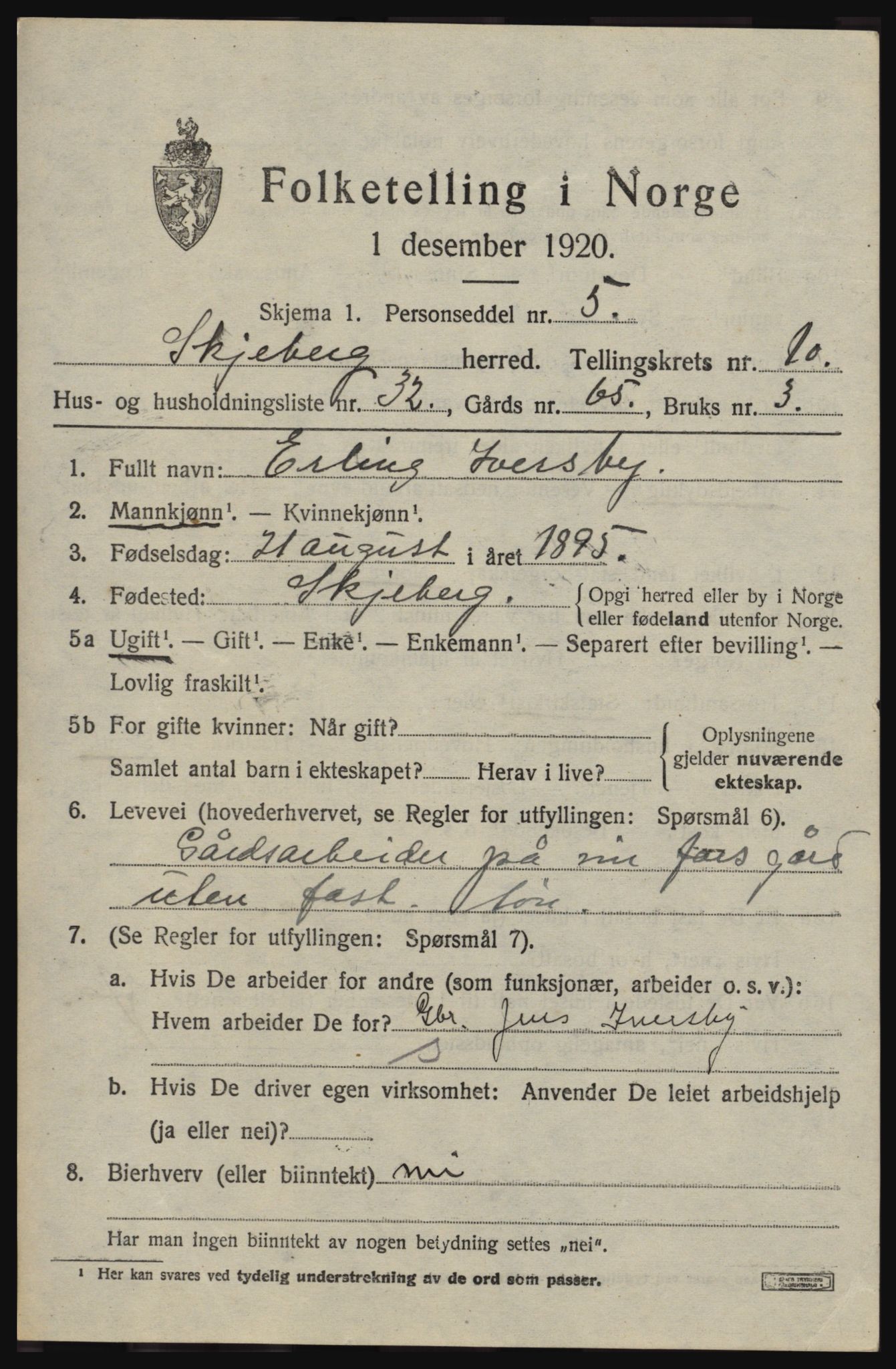 SAO, 1920 census for Skjeberg, 1920, p. 9371