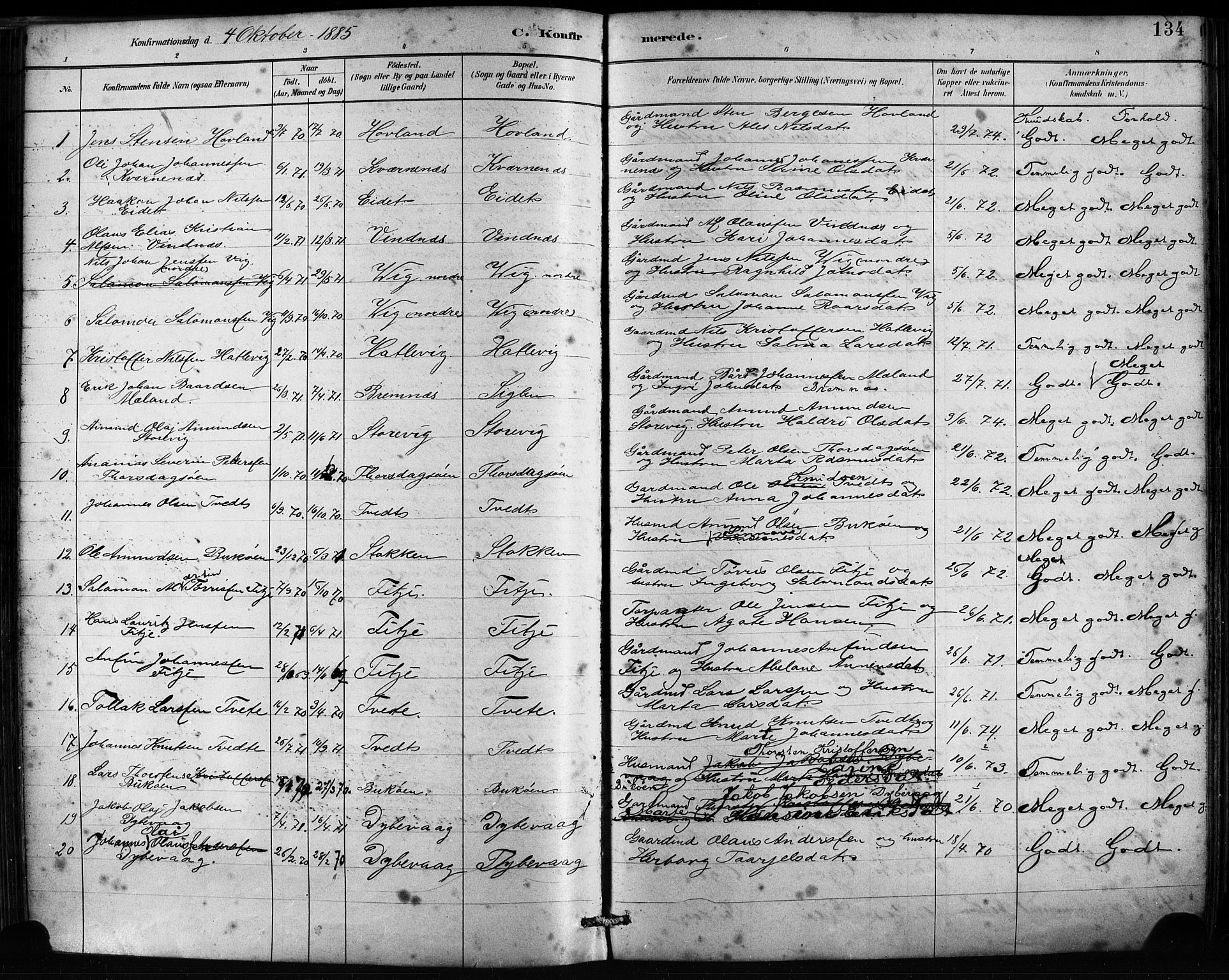 Fitjar sokneprestembete, AV/SAB-A-99926: Parish register (official) no. A 2, 1882-1899, p. 134