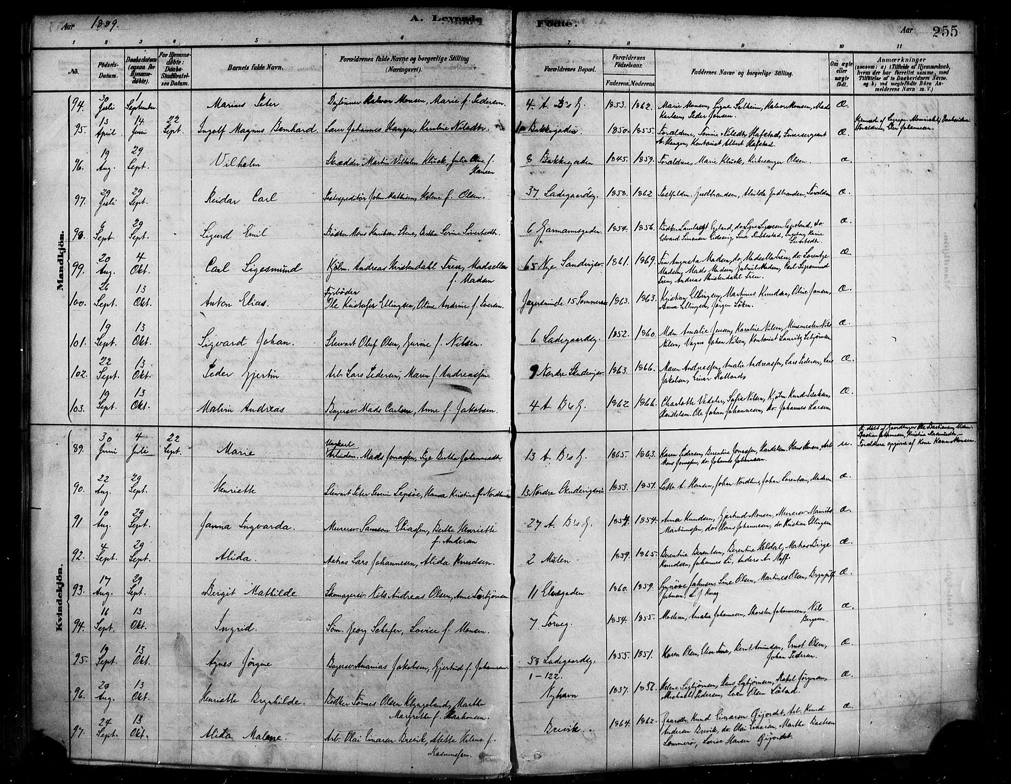 Sandviken Sokneprestembete, AV/SAB-A-77601/H/Ha/L0004: Parish register (official) no. B 1, 1878-1891, p. 255