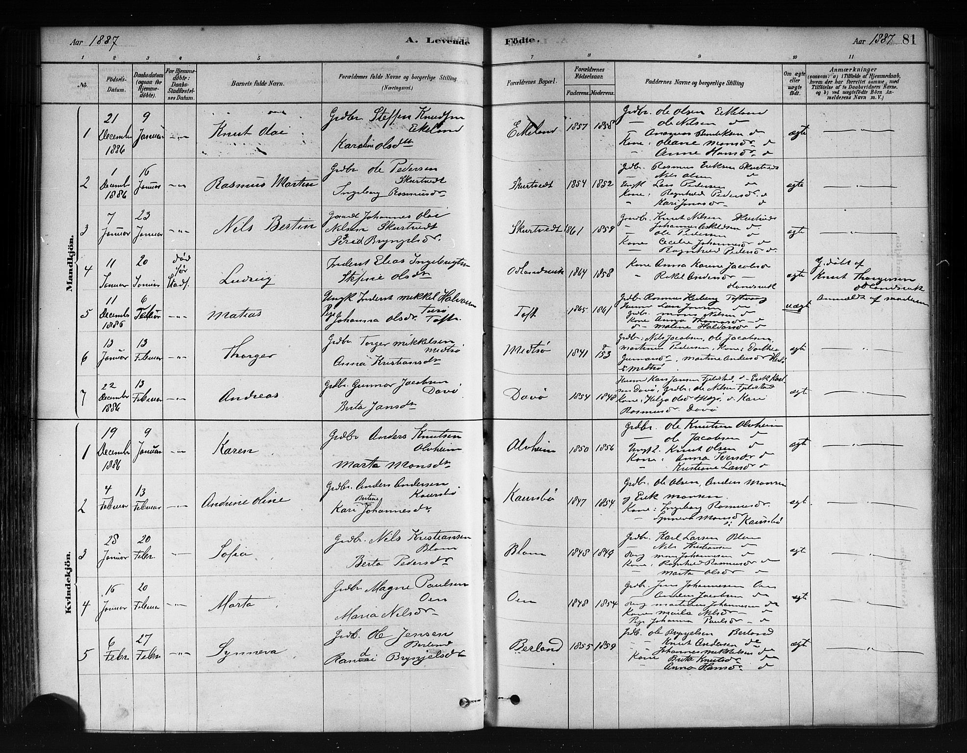 Herdla Sokneprestembete, AV/SAB-A-75701/H/Haa: Parish register (official) no. A 3, 1878-1890, p. 81