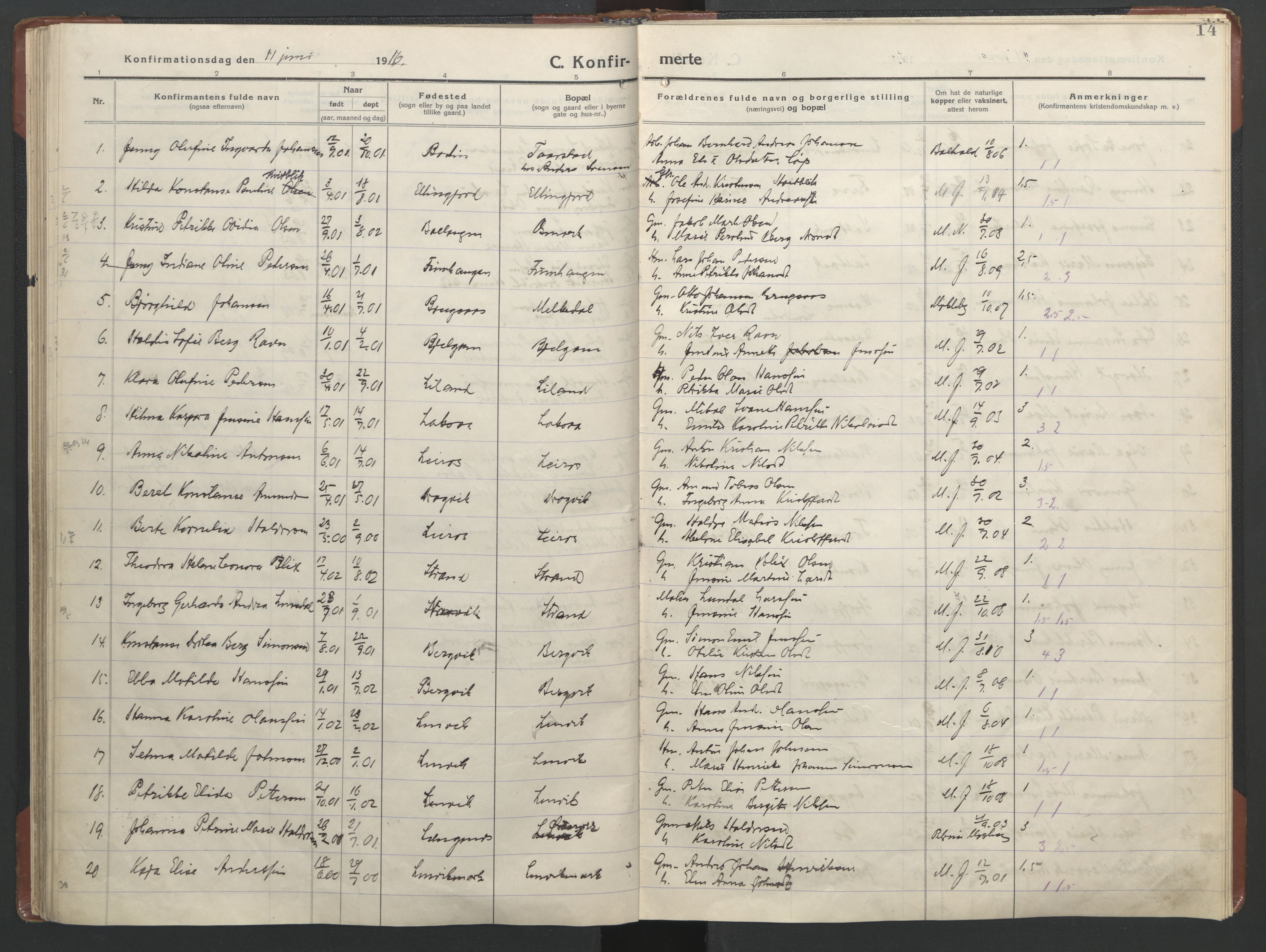 Ministerialprotokoller, klokkerbøker og fødselsregistre - Nordland, AV/SAT-A-1459/863/L0918: Parish register (copy) no. 863C08, 1906-1921, p. 14