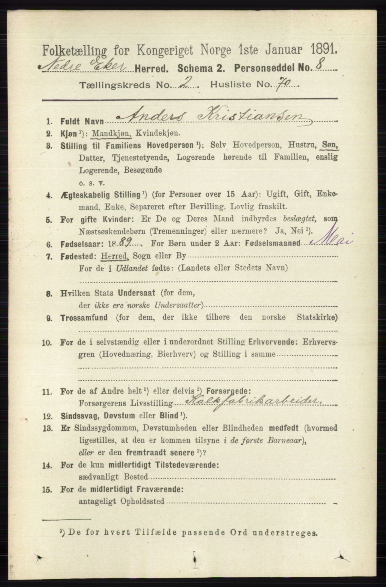 RA, 1891 census for 0625 Nedre Eiker, 1891, p. 917