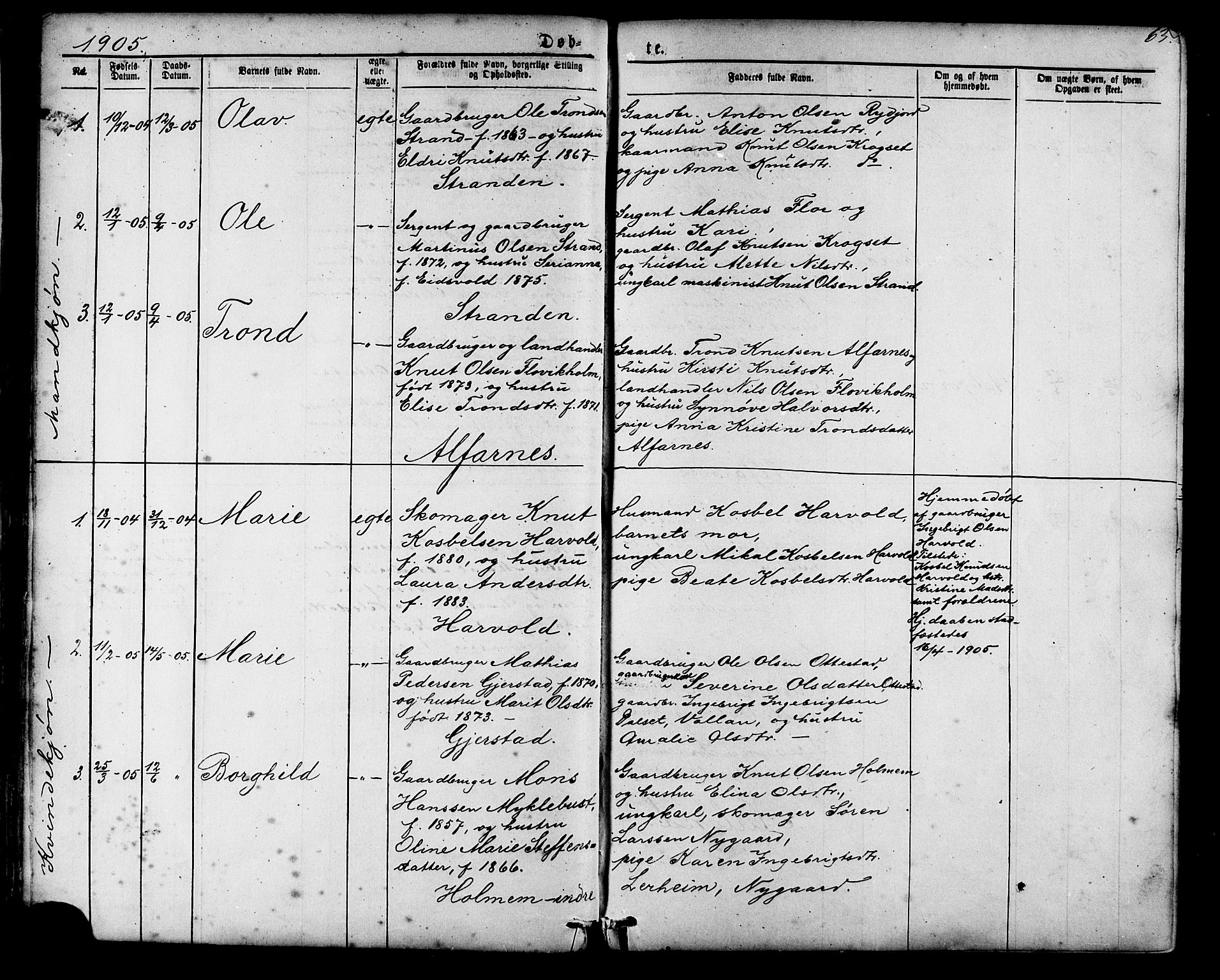 Ministerialprotokoller, klokkerbøker og fødselsregistre - Møre og Romsdal, SAT/A-1454/548/L0614: Parish register (copy) no. 548C02, 1867-1917, p. 63