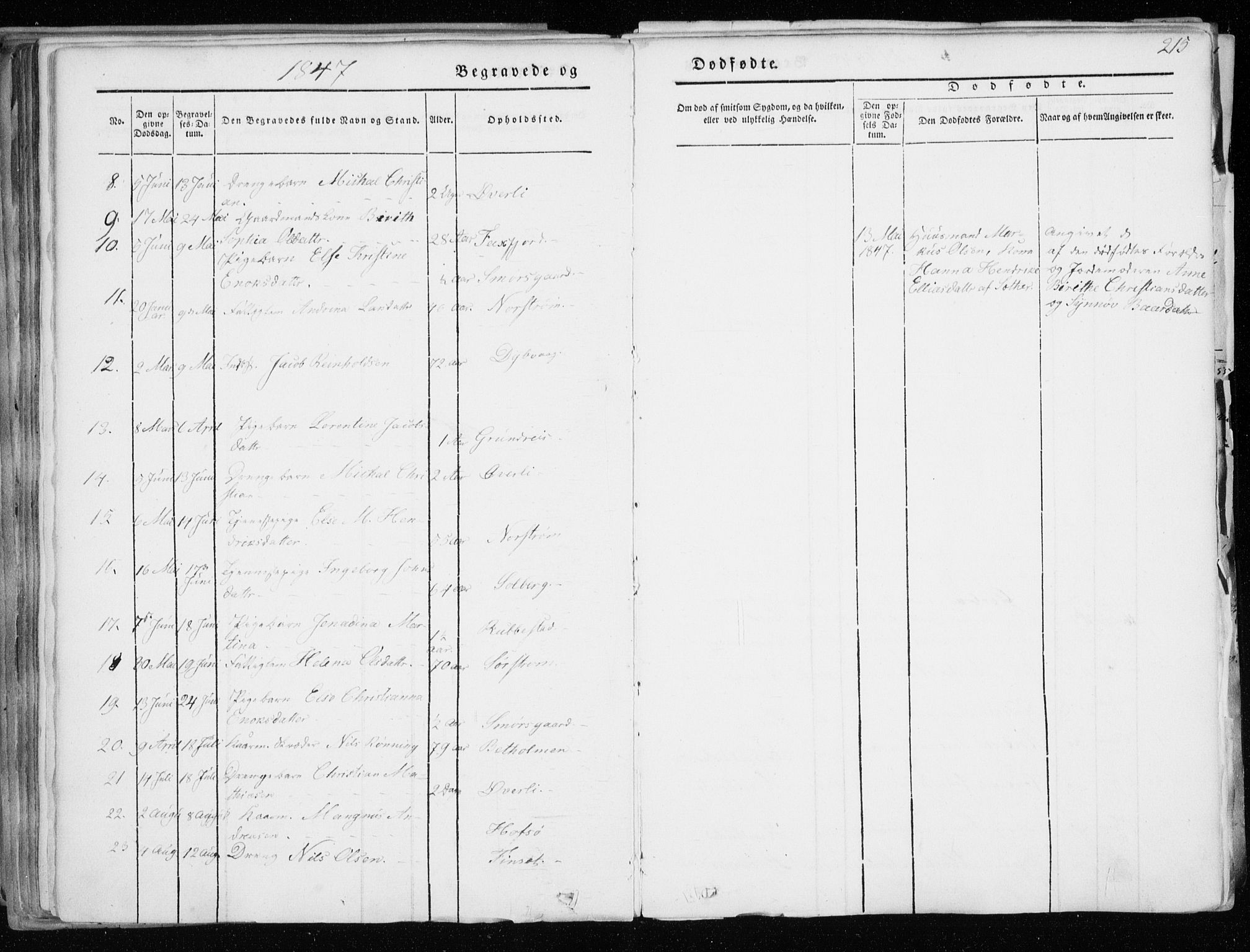 Tranøy sokneprestkontor, AV/SATØ-S-1313/I/Ia/Iaa/L0006kirke: Parish register (official) no. 6, 1844-1855, p. 215