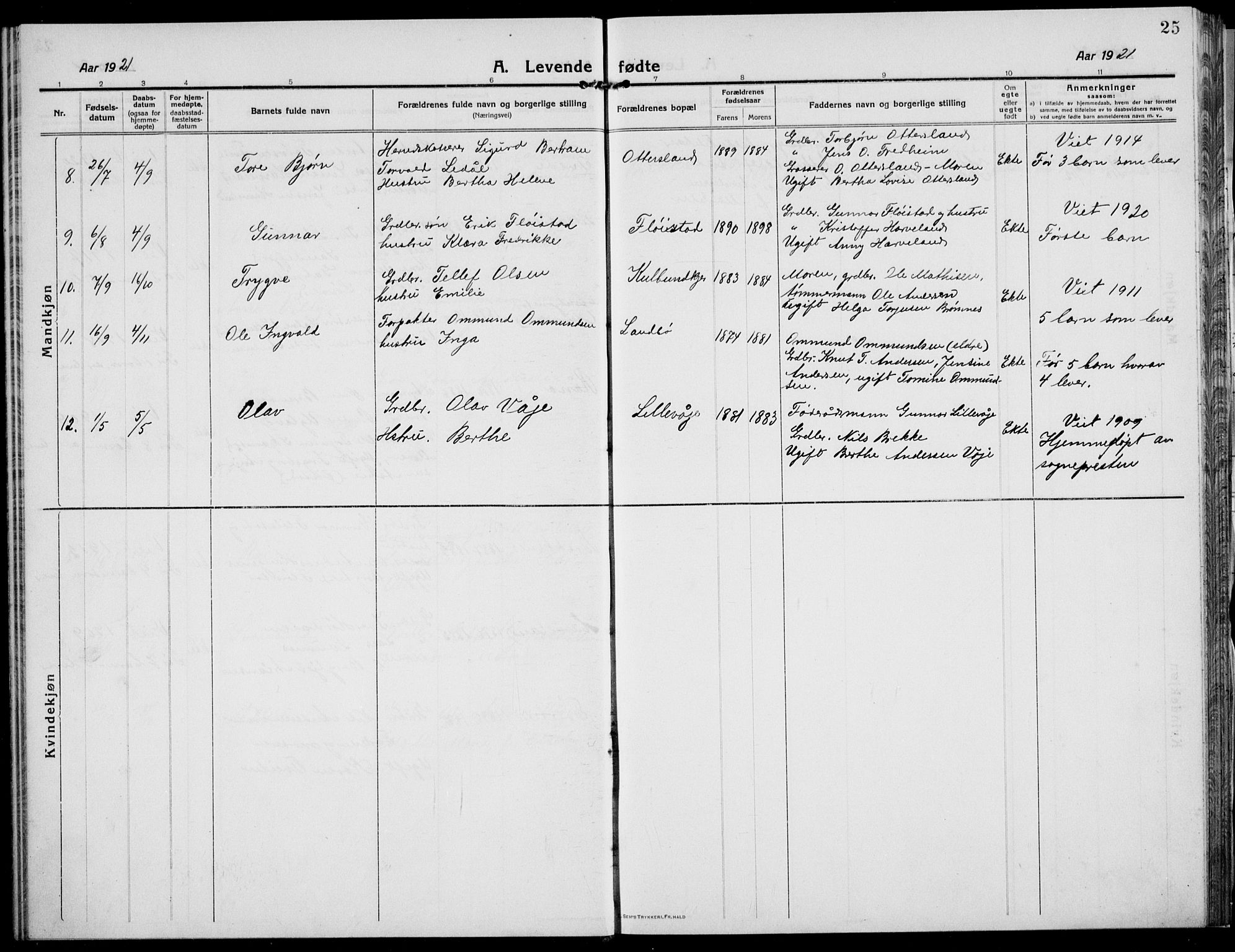 Austre Moland sokneprestkontor, AV/SAK-1111-0001/F/Fb/Fba/L0005: Parish register (copy) no. B 4b, 1914-1935, p. 25
