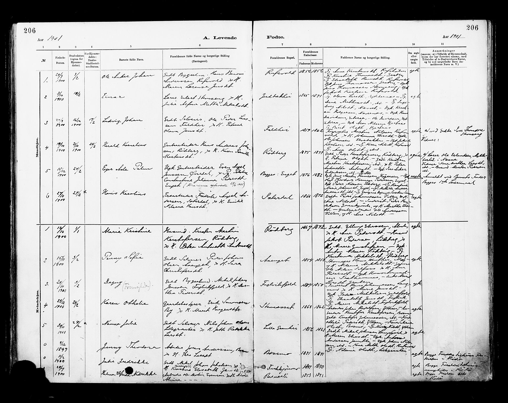 Ministerialprotokoller, klokkerbøker og fødselsregistre - Nordland, SAT/A-1459/827/L0400: Parish register (official) no. 827A12, 1883-1903, p. 206