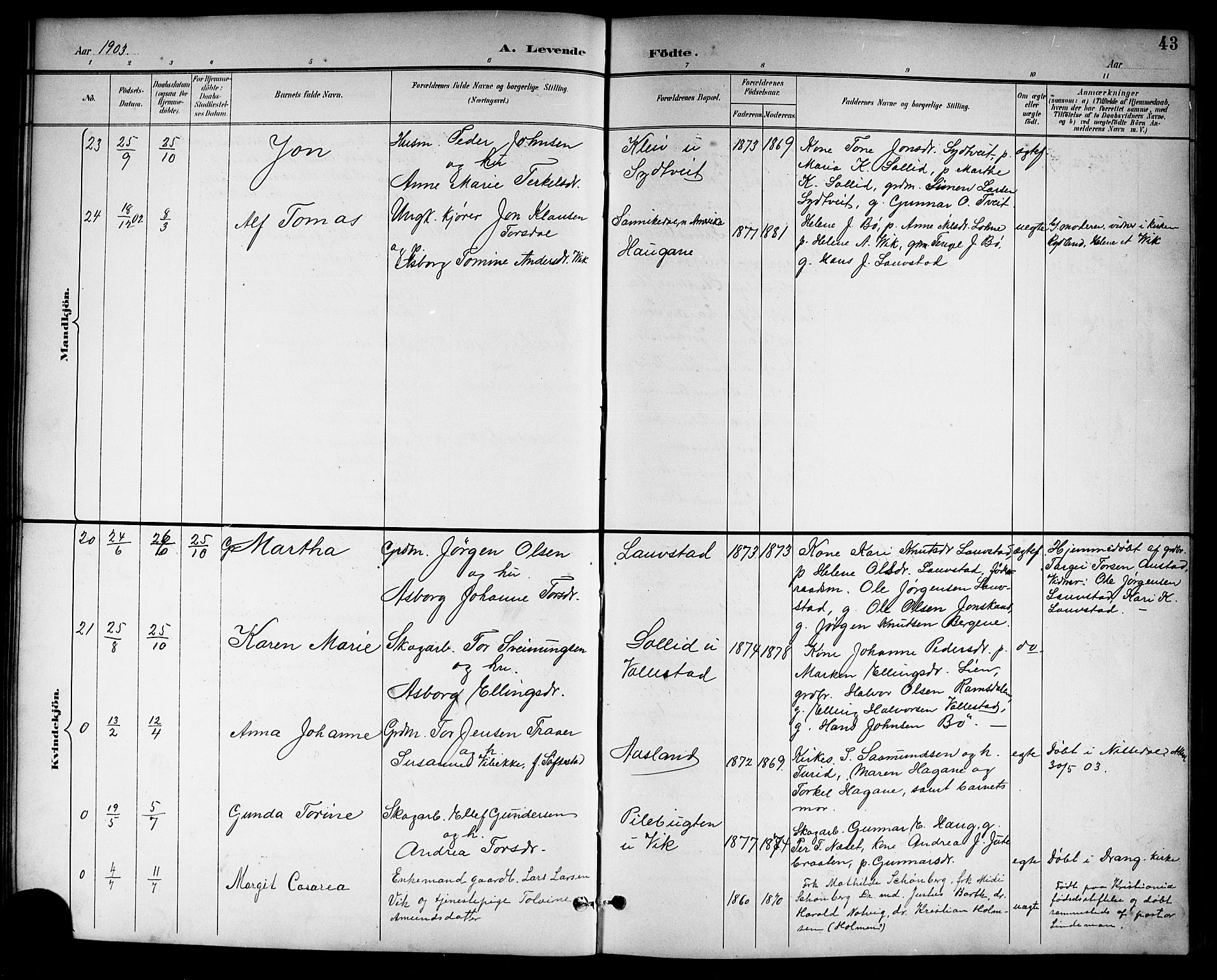 Drangedal kirkebøker, SAKO/A-258/G/Gb/L0002: Parish register (copy) no. II 2, 1895-1918, p. 43