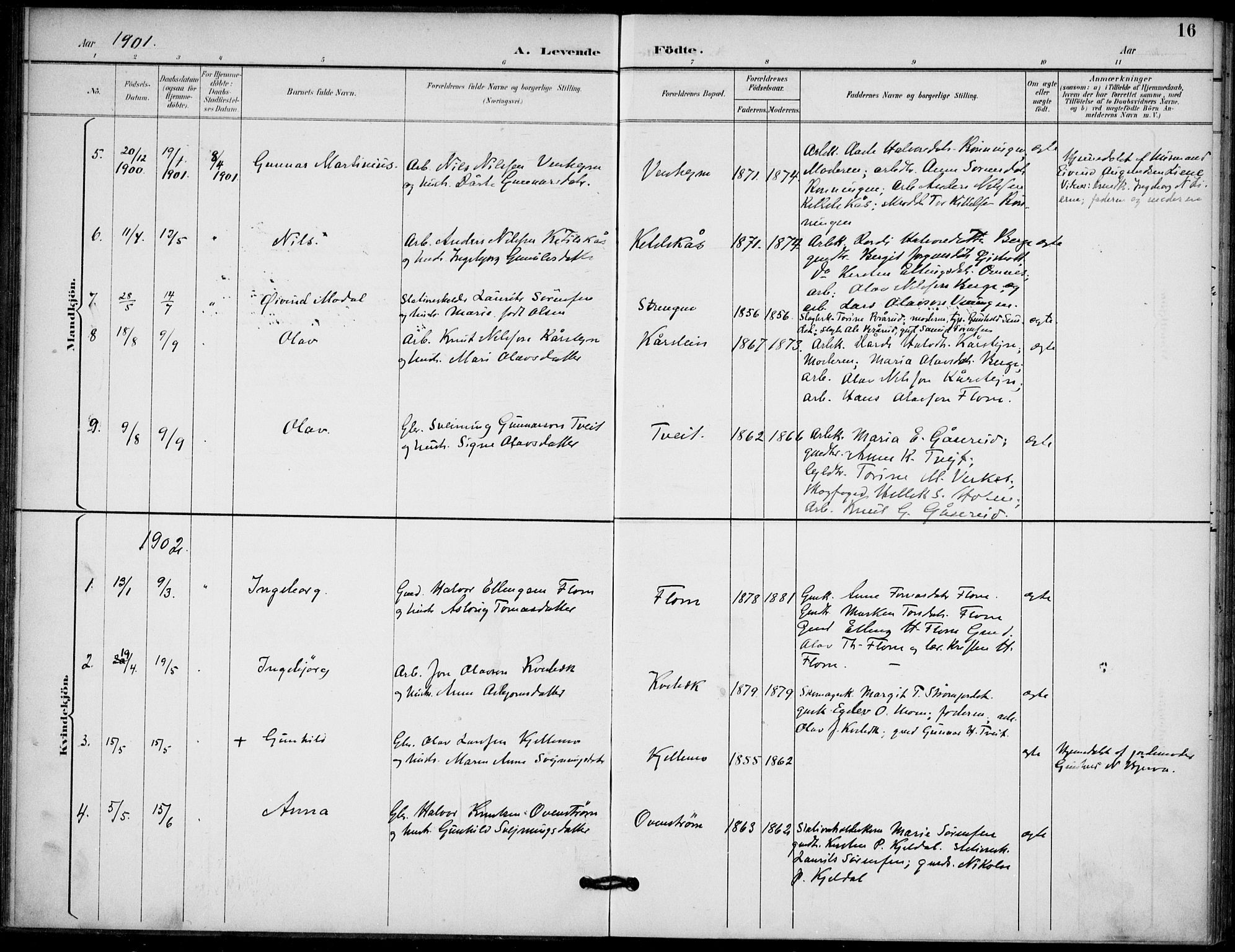 Lunde kirkebøker, AV/SAKO-A-282/F/Fb/L0004: Parish register (official) no. II 4, 1892-1907, p. 16