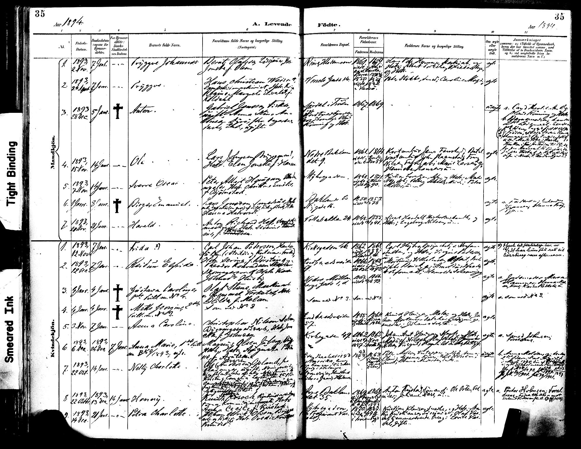 Ministerialprotokoller, klokkerbøker og fødselsregistre - Sør-Trøndelag, SAT/A-1456/604/L0197: Parish register (official) no. 604A18, 1893-1900, p. 35