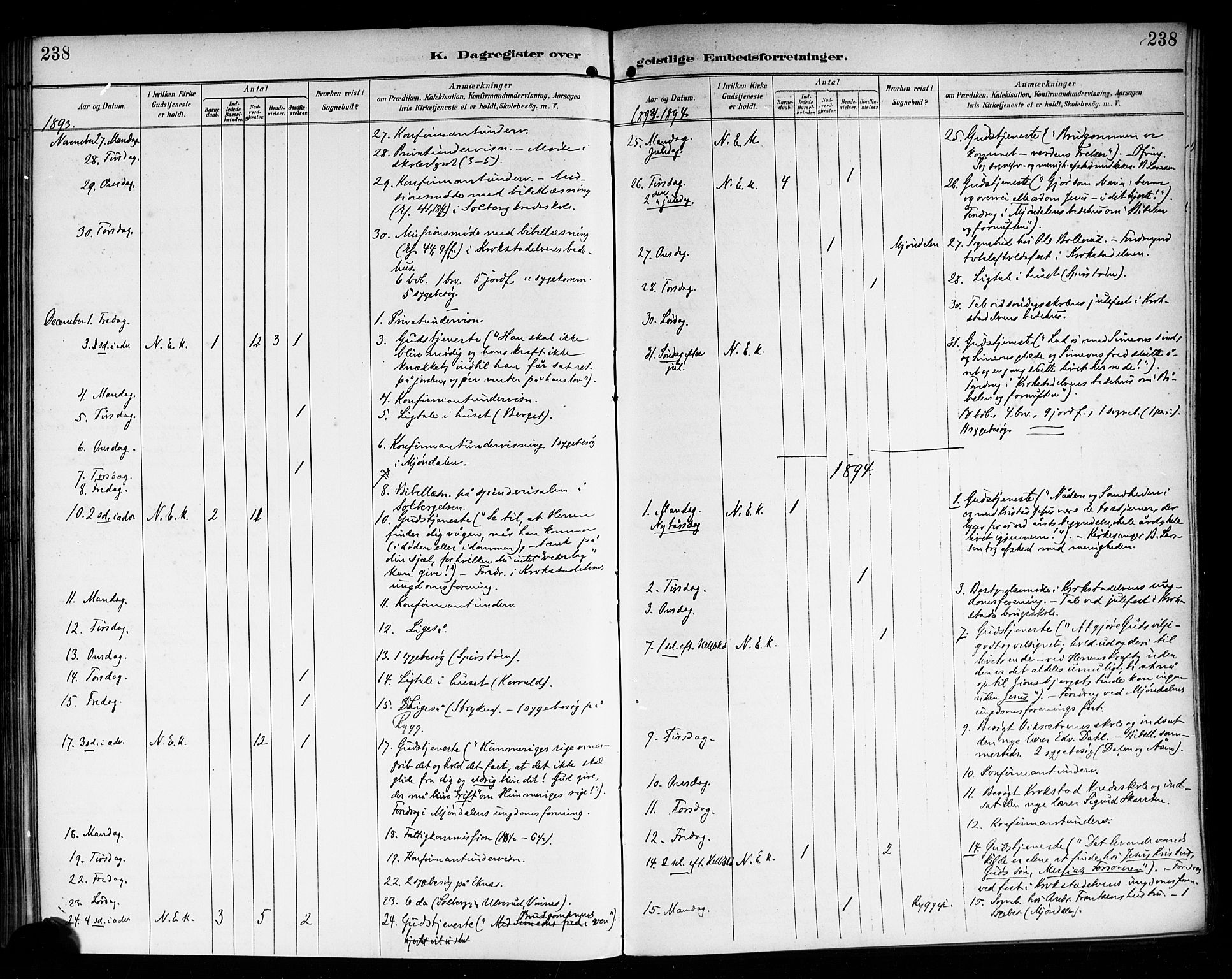 Nedre Eiker kirkebøker, SAKO/A-612/F/Fa/L0004: Parish register (official) no. 4, 1893-1898, p. 238