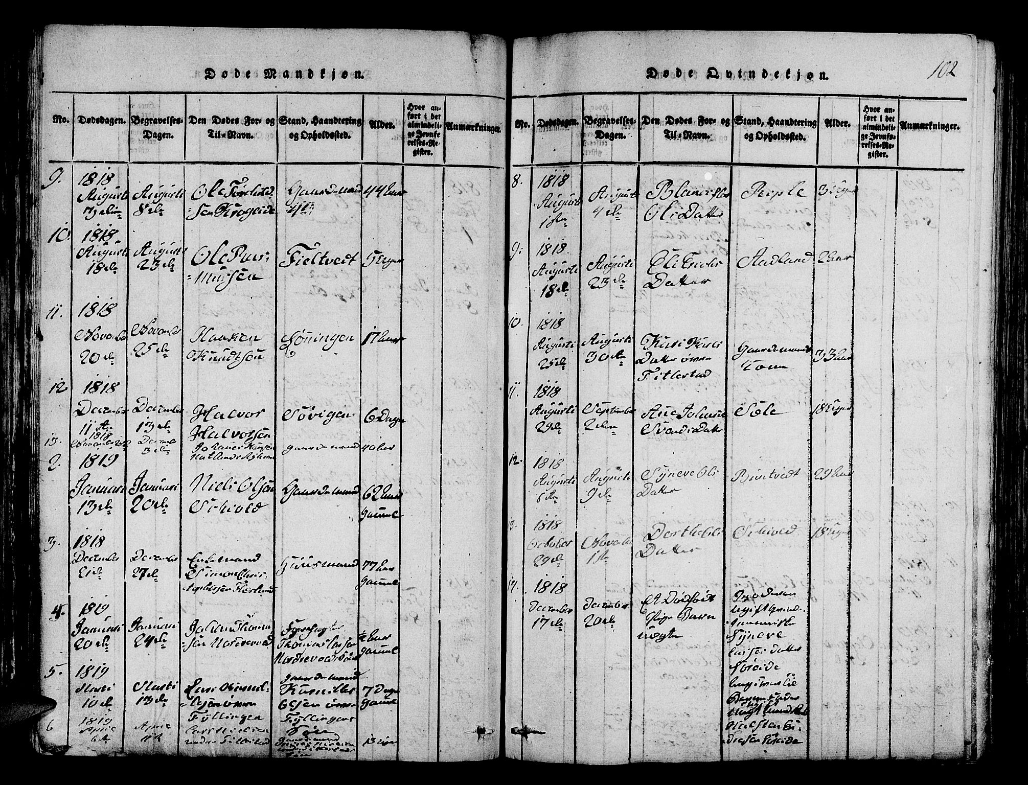 Fana Sokneprestembete, AV/SAB-A-75101/H/Hab/Haba/L0001: Parish register (copy) no. A 1, 1816-1836, p. 102