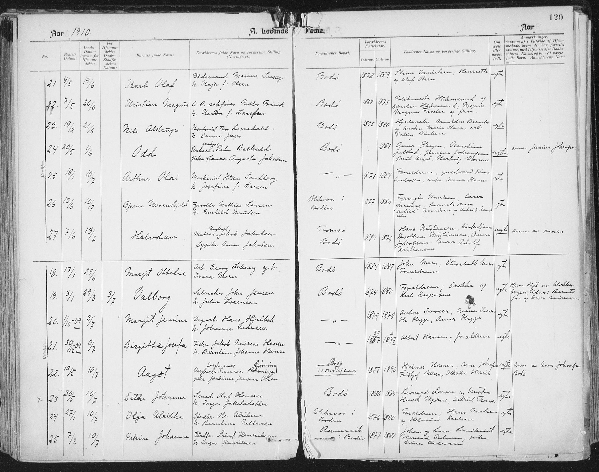 Ministerialprotokoller, klokkerbøker og fødselsregistre - Nordland, SAT/A-1459/801/L0011: Parish register (official) no. 801A11, 1900-1916, p. 120