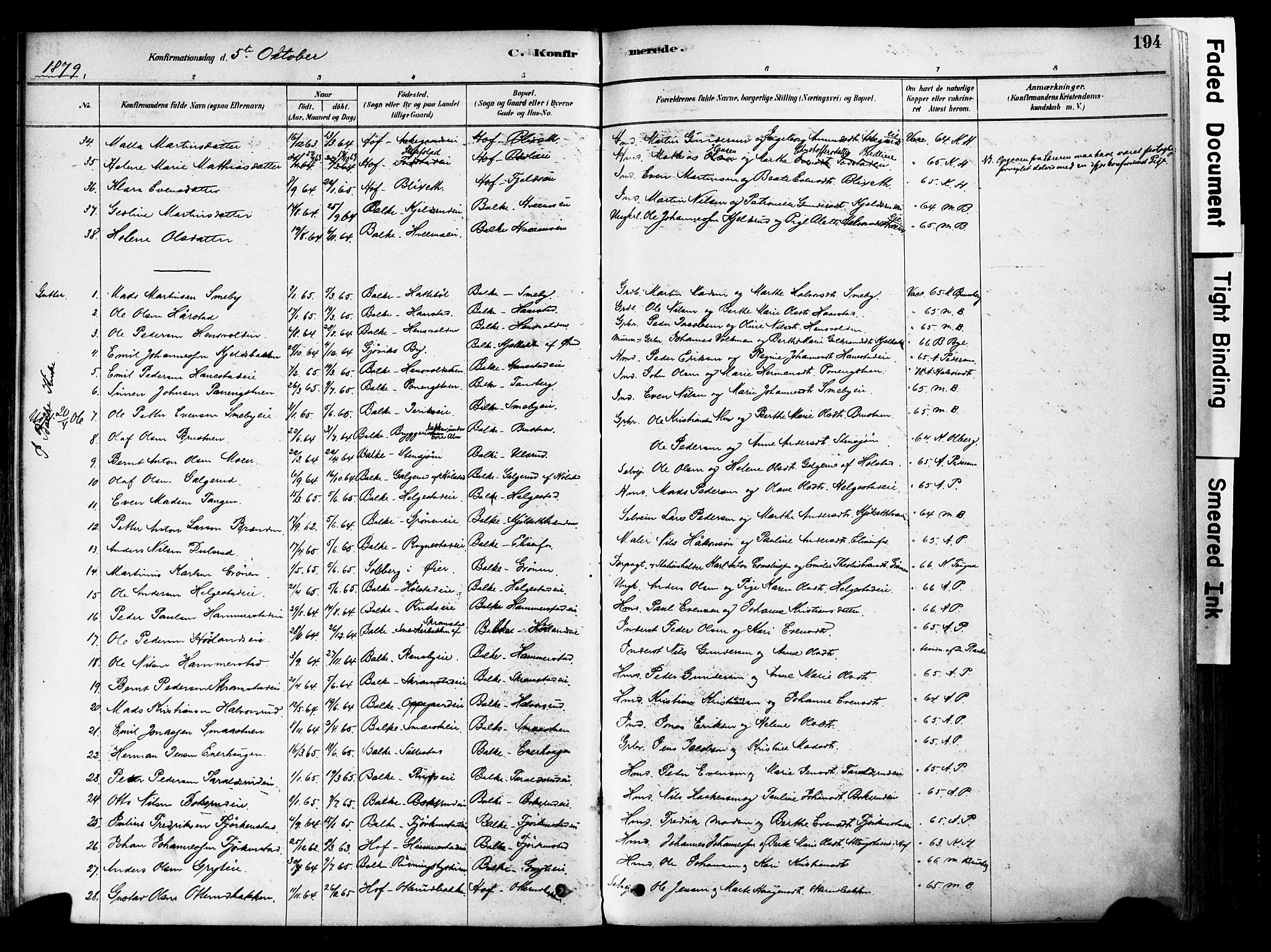 Østre Toten prestekontor, AV/SAH-PREST-104/H/Ha/Haa/L0006: Parish register (official) no. 6 /1, 1878-1896, p. 194