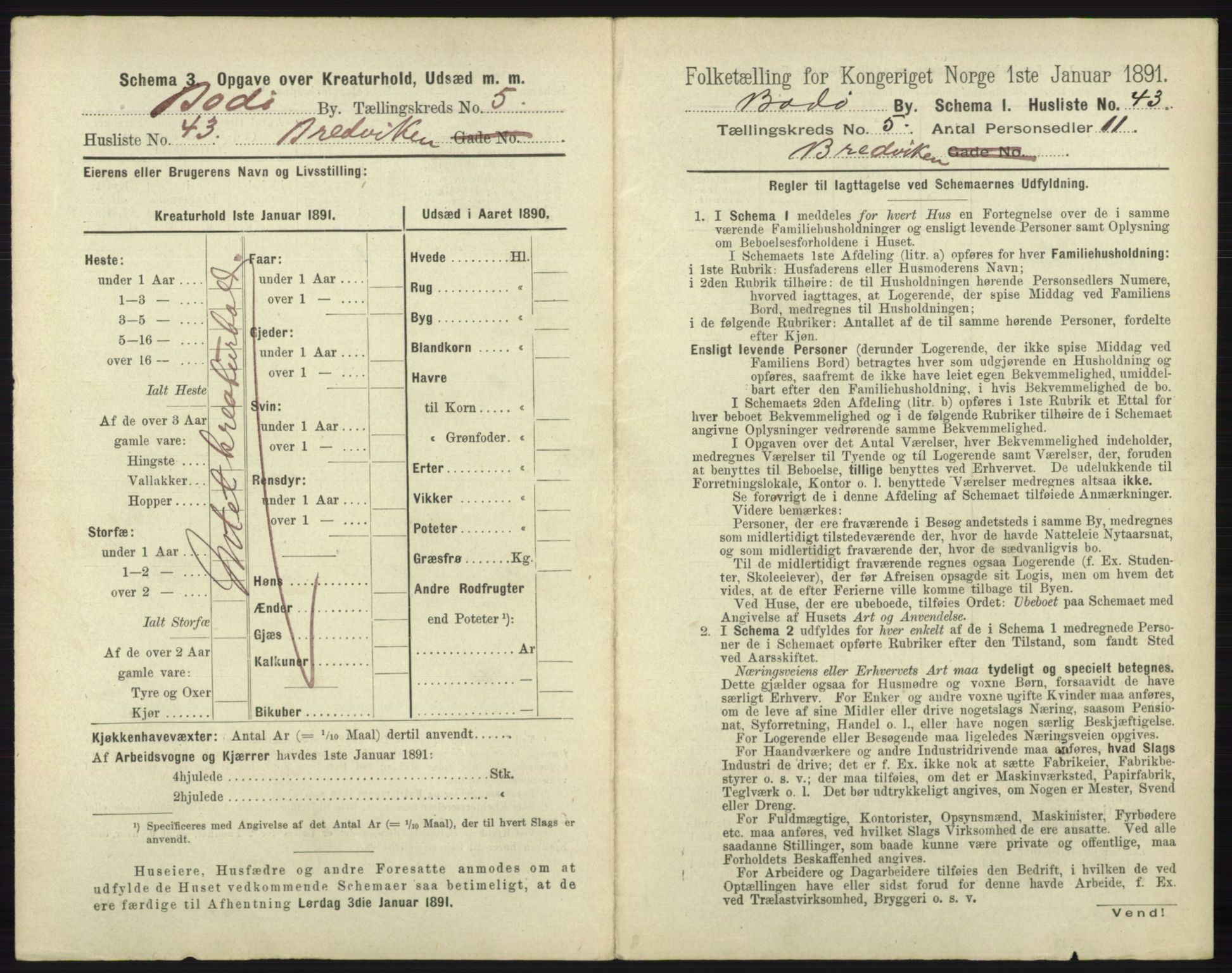 RA, 1891 census for 1804 Bodø, 1891, p. 3891