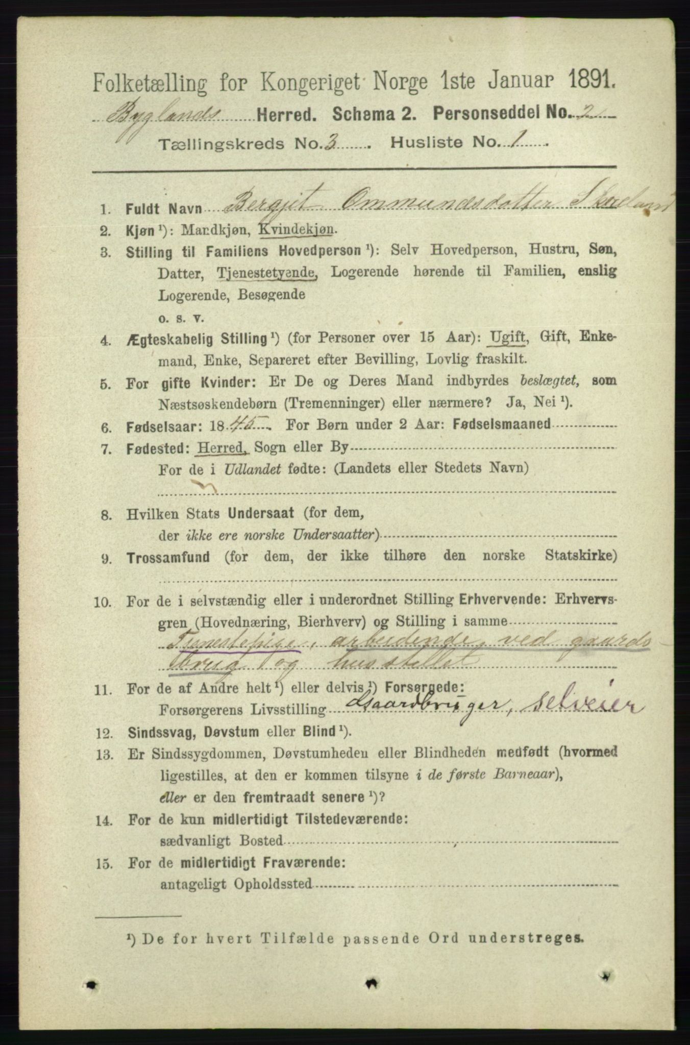 RA, 1891 census for 0938 Bygland, 1891, p. 571