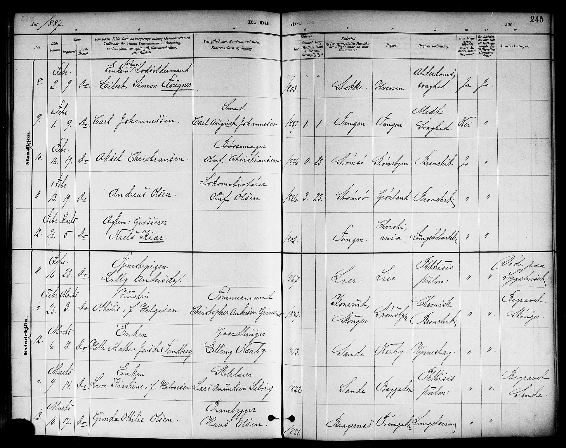 Strømsø kirkebøker, AV/SAKO-A-246/F/Fa/L0023: Parish register (official) no. I 23, 1885-1894, p. 245