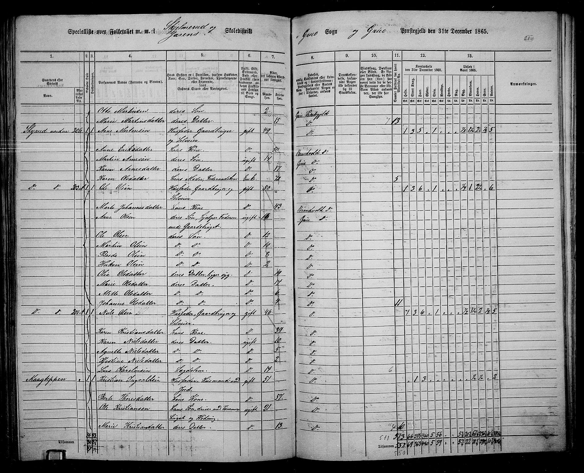 RA, 1865 census for Grue, 1865, p. 249