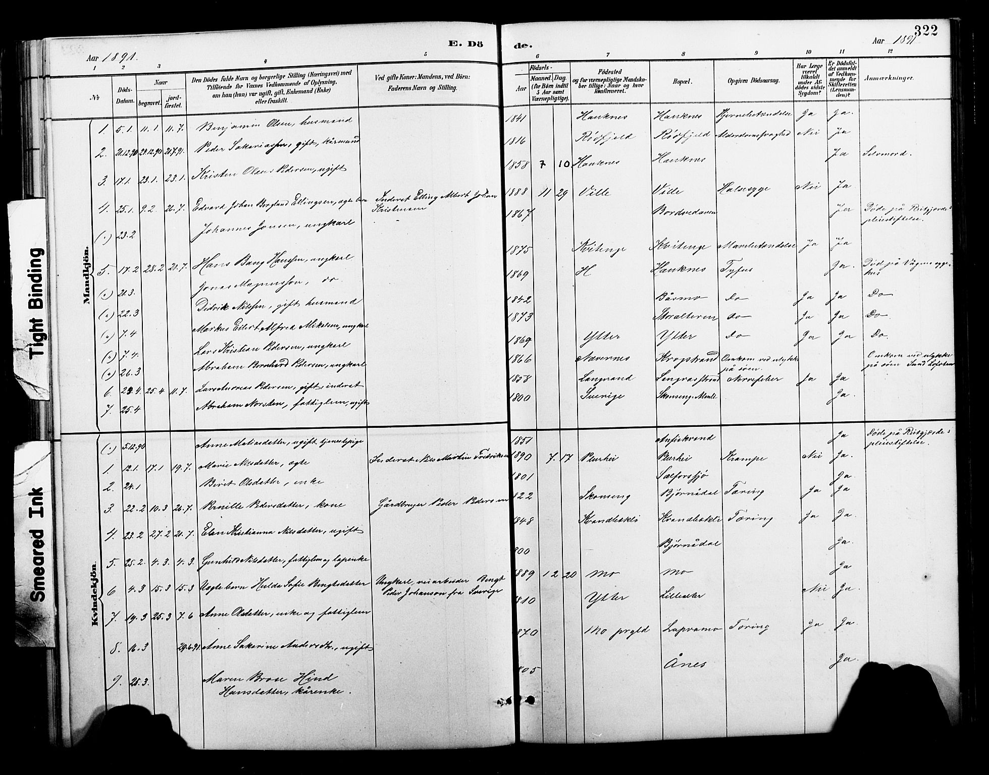 Ministerialprotokoller, klokkerbøker og fødselsregistre - Nordland, SAT/A-1459/827/L0421: Parish register (copy) no. 827C10, 1887-1906, p. 322