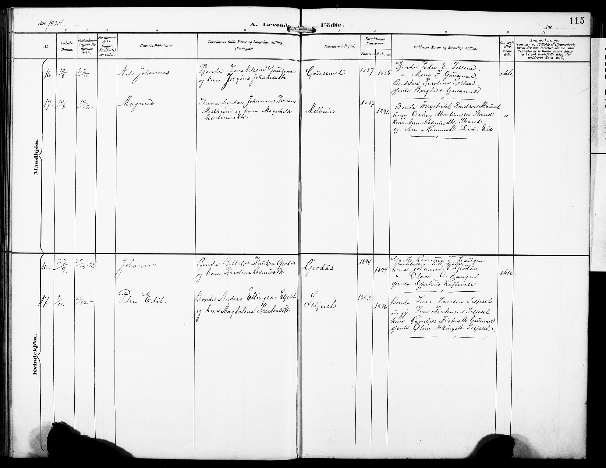 Hornindal sokneprestembete, SAB/A-82401/H/Hab: Parish register (copy) no. A 2, 1894-1927, p. 115