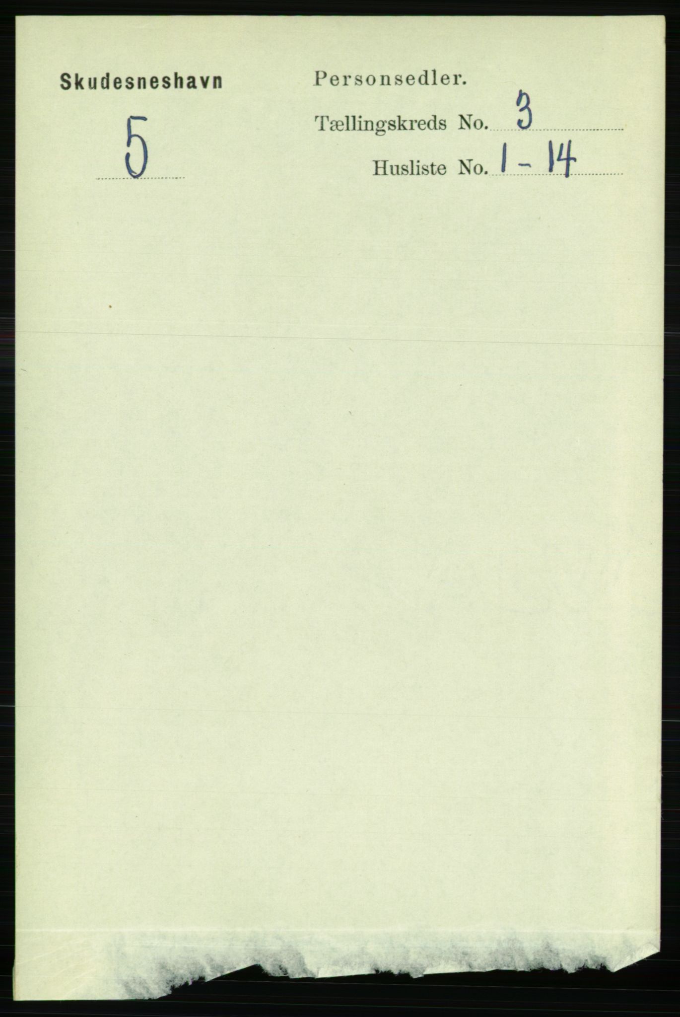 RA, 1891 census for 1104 Skudeneshavn, 1891, p. 964