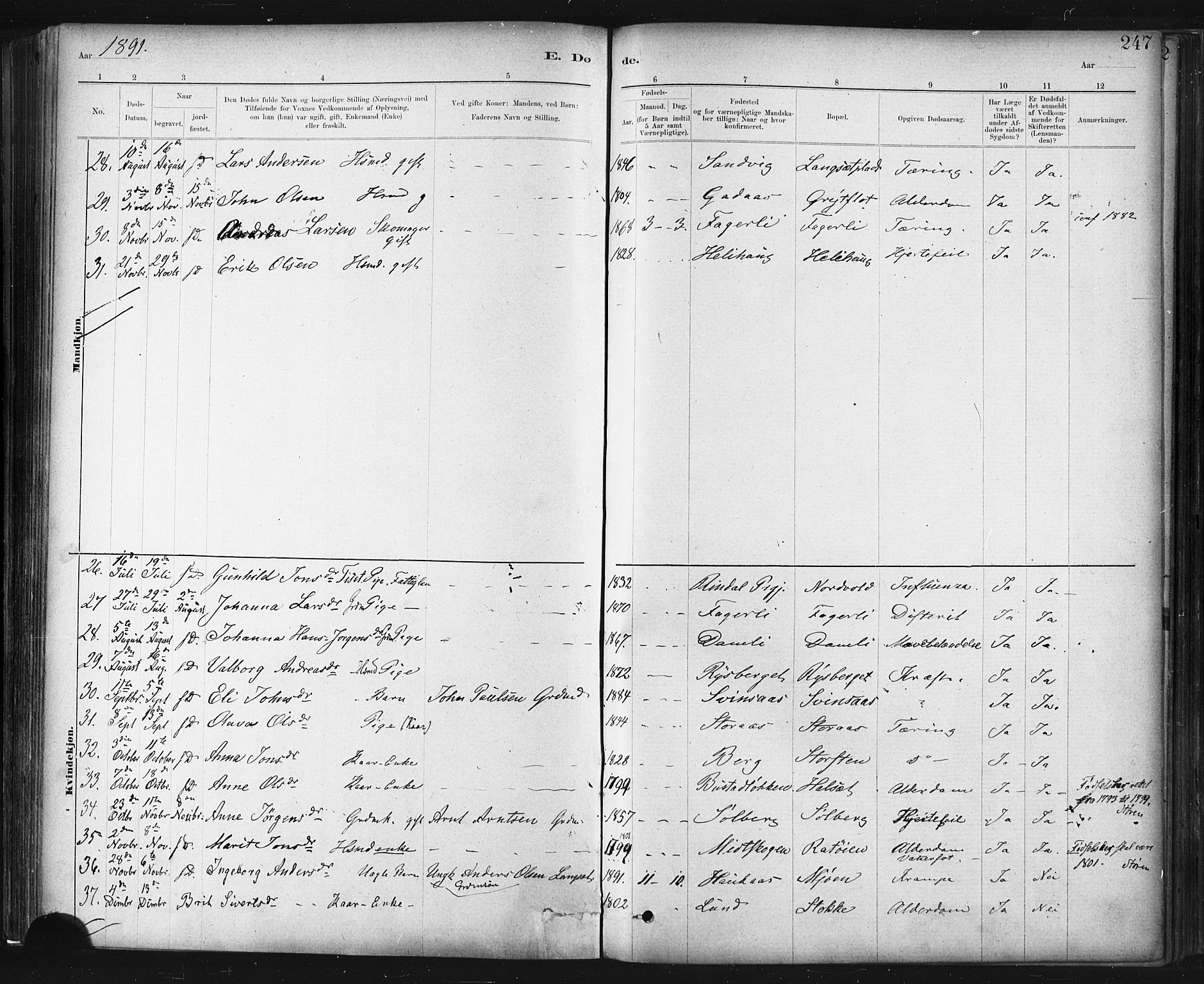 Ministerialprotokoller, klokkerbøker og fødselsregistre - Sør-Trøndelag, SAT/A-1456/672/L0857: Parish register (official) no. 672A09, 1882-1893, p. 247