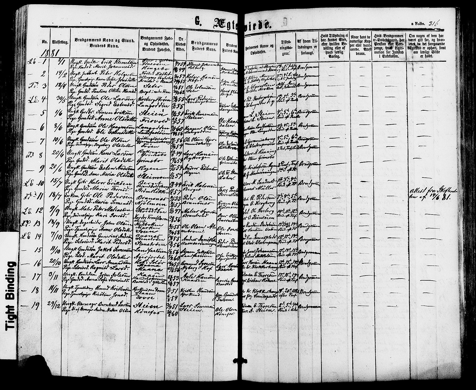 Alvdal prestekontor, SAH/PREST-060/H/Ha/Haa/L0001: Parish register (official) no. 1, 1863-1882, p. 316