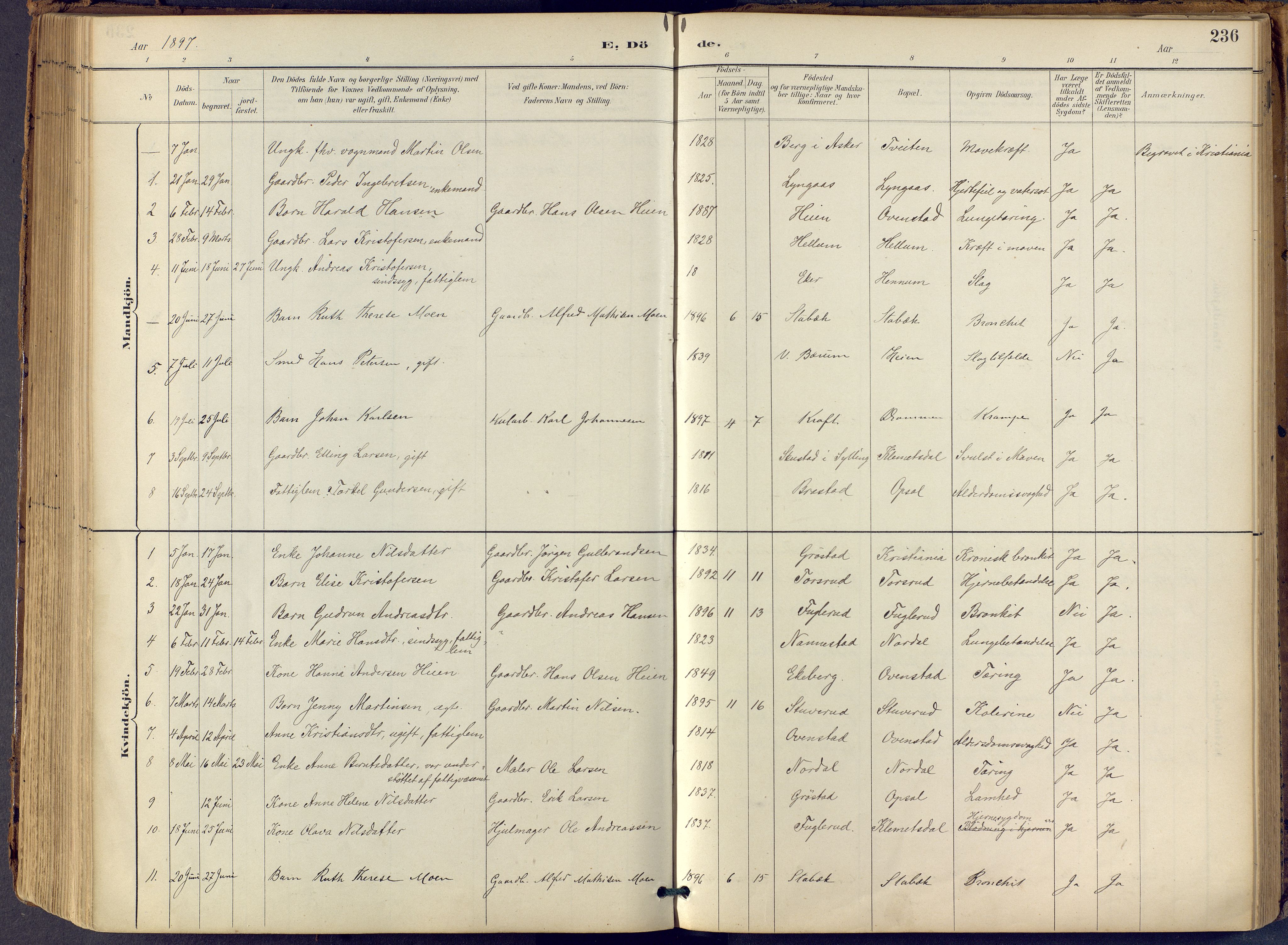 Lier kirkebøker, SAKO/A-230/F/Fb/L0001: Parish register (official) no. II 1, 1883-1910, p. 236