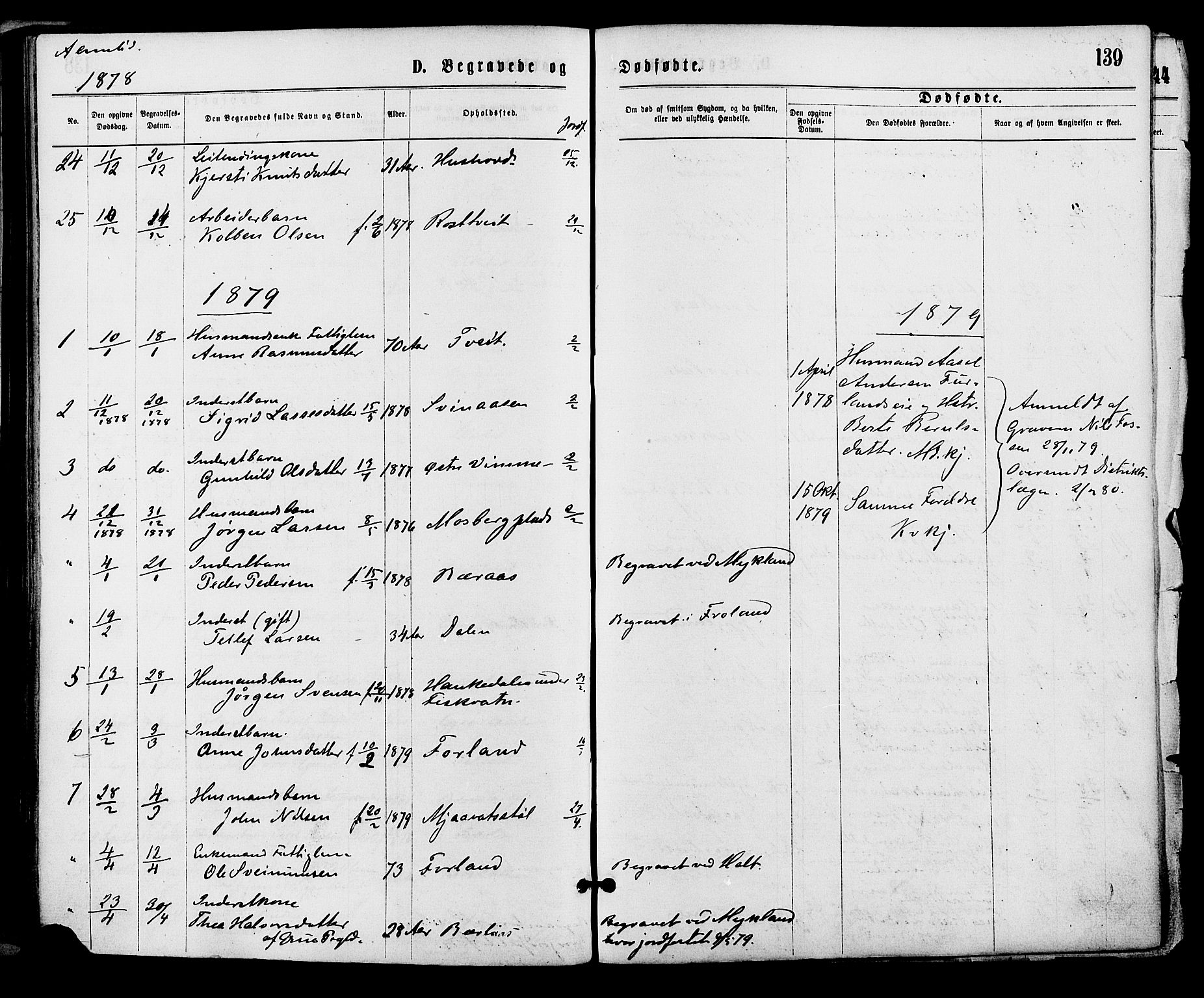 Åmli sokneprestkontor, SAK/1111-0050/F/Fa/Fac/L0009: Parish register (official) no. A 9 /1, 1869-1884, p. 139